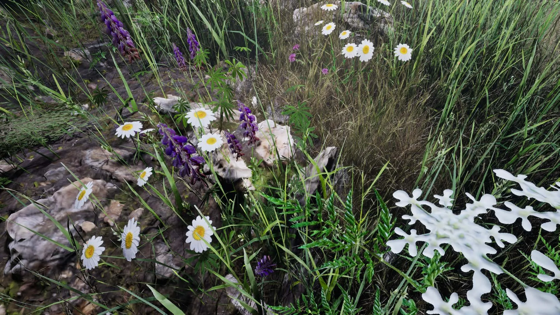 closeup of flowers & grass.jpg