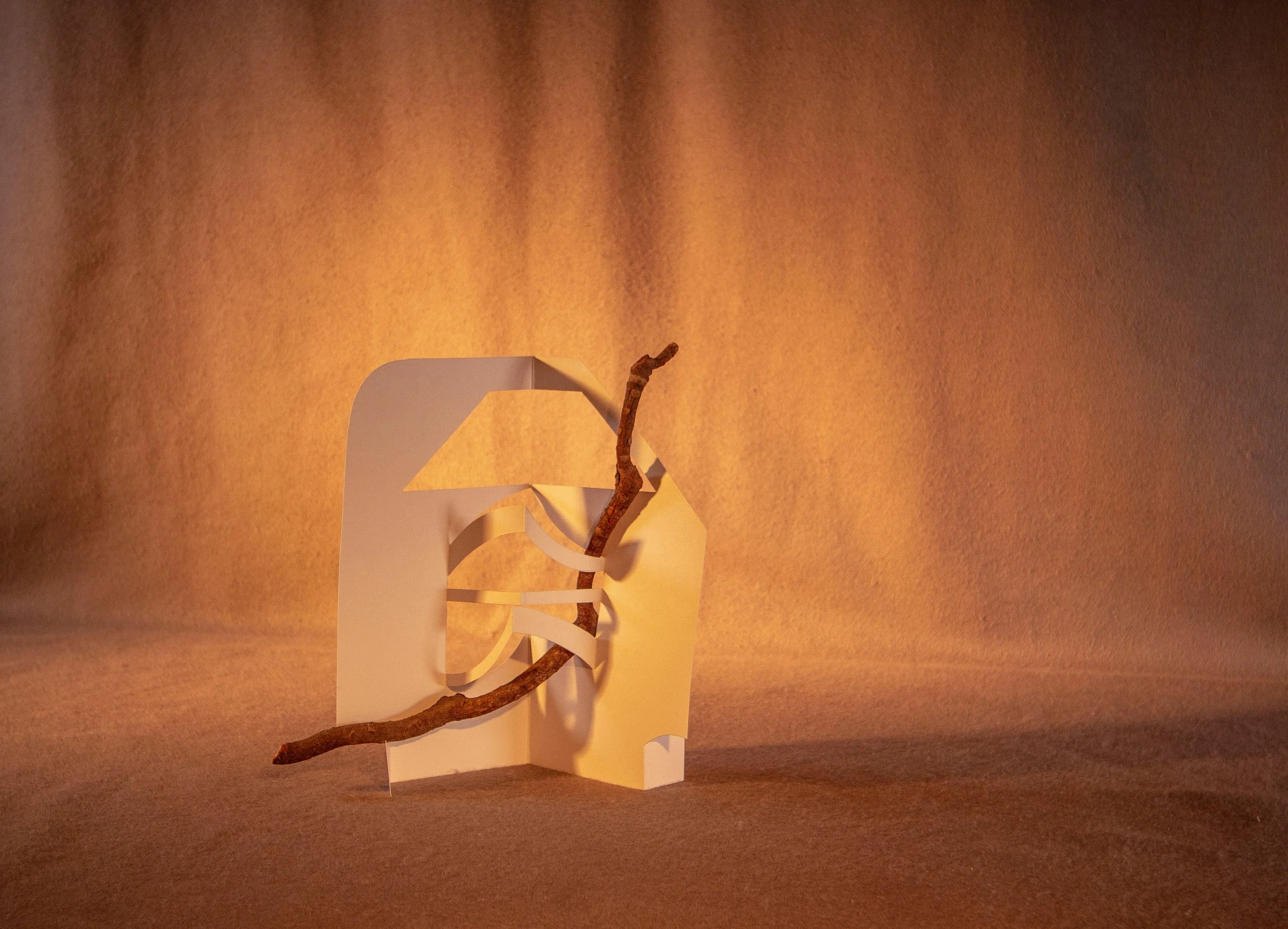 BUTORAC_ORGANIC OBJECT_.jpg