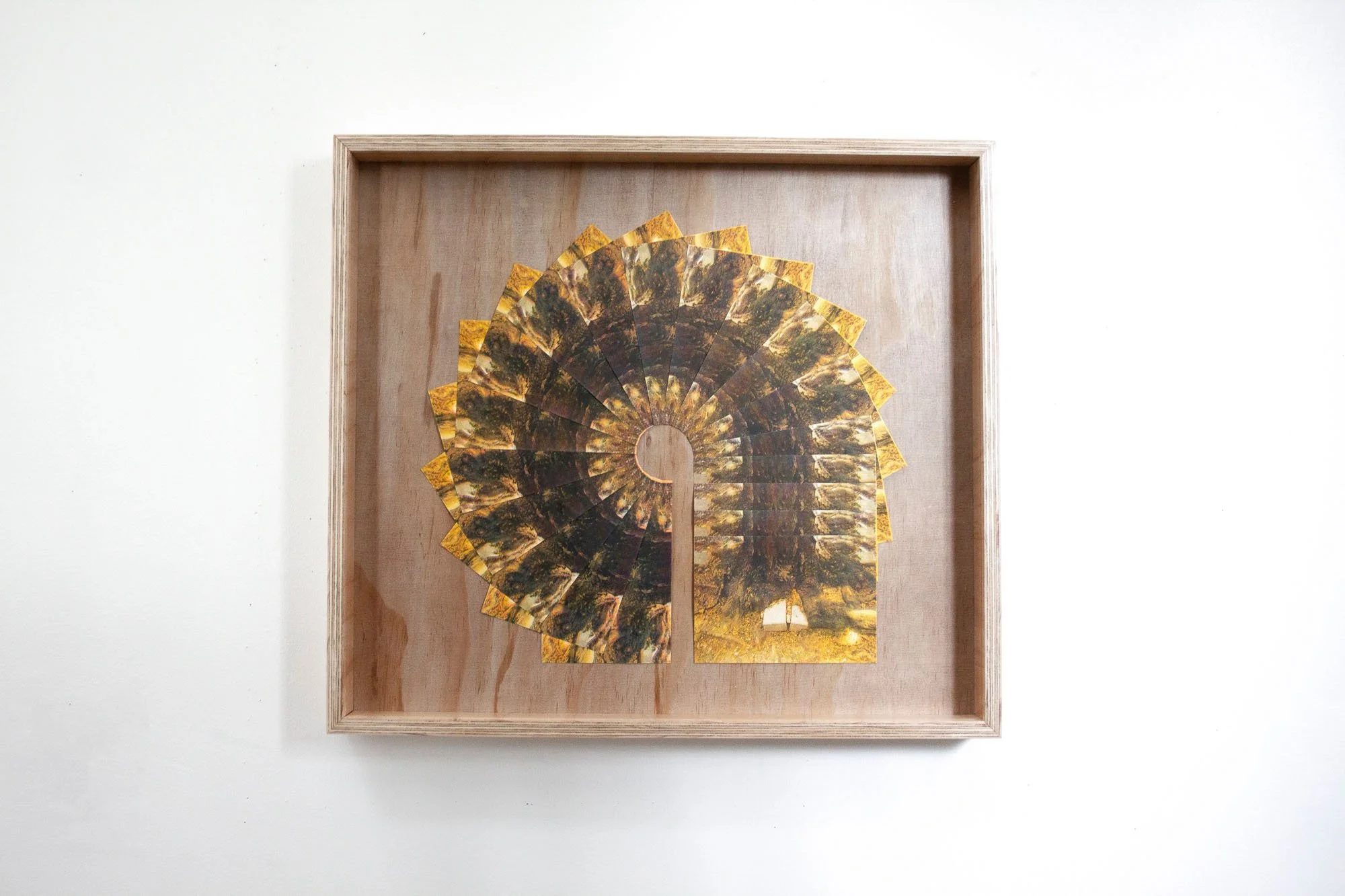 Cyclical Entanglement, 2025, 24.75"×27.5"×3" framed (19"×20" collage dimensions), Collage using 4-color risograph prints