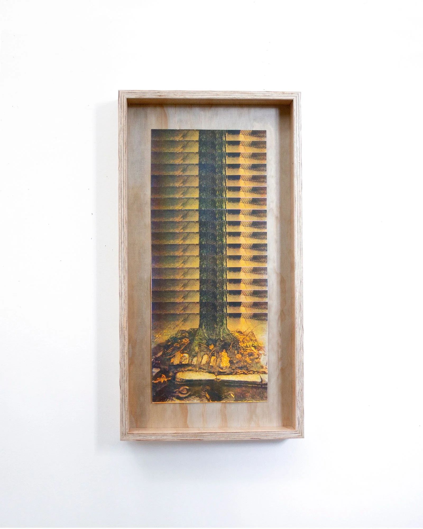 
Growth at New Margins, 2025. 29.5"×15.5"×3" framed (24"×10" collage dimensions), Collage using 4-color risograph prints.