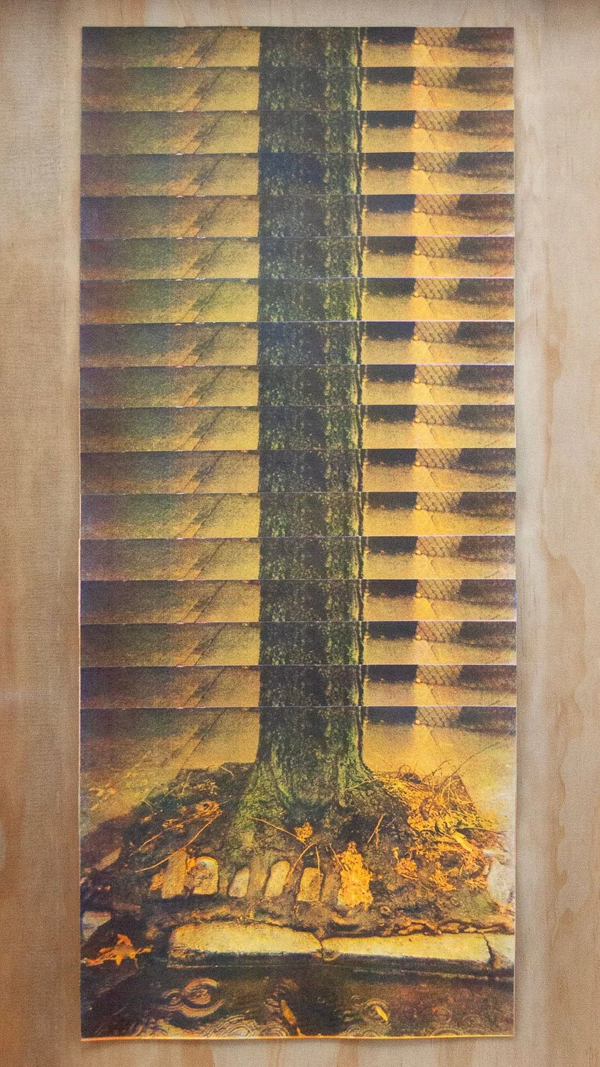 
Growth of New Margins (detail) 