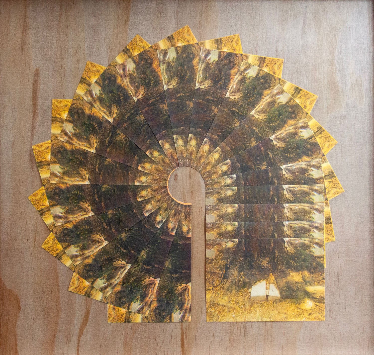 Cyclical Entanglement detail 