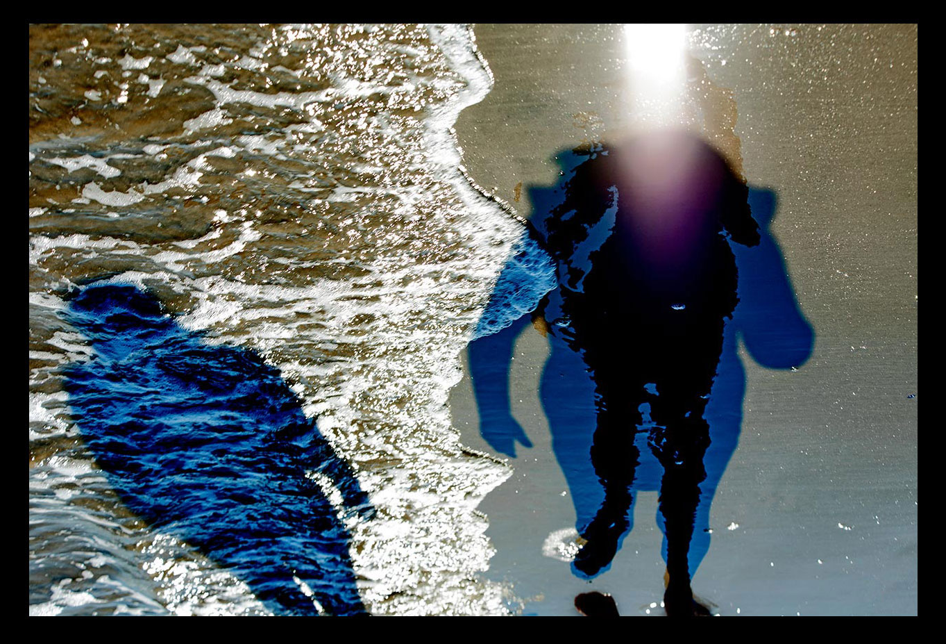 Silhouette and Shadow of Life