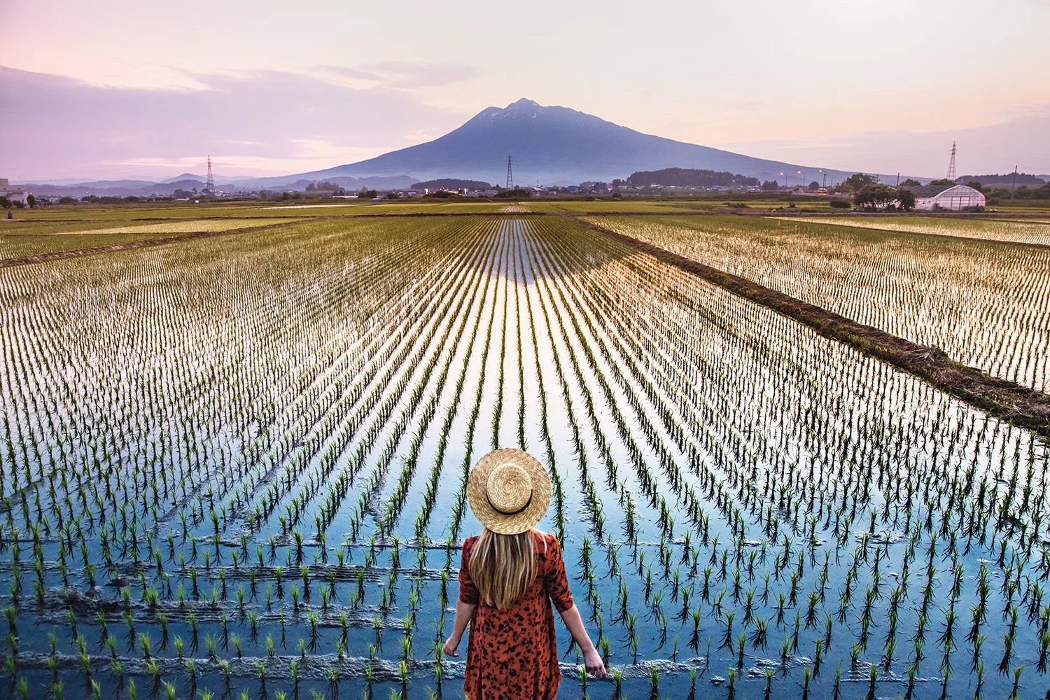 Princess Cruises Japan destination campaign