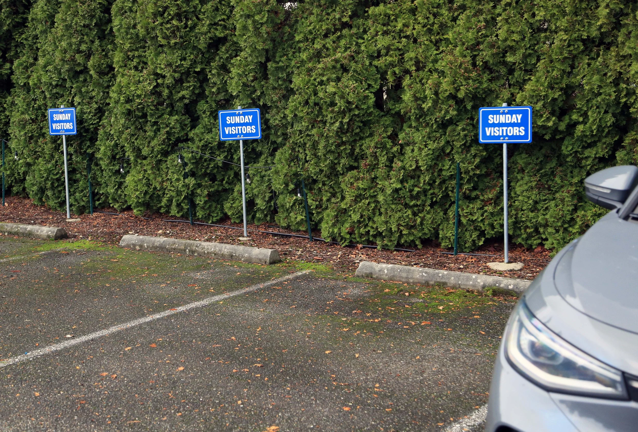 Parking spaces are available for Sunday visitors