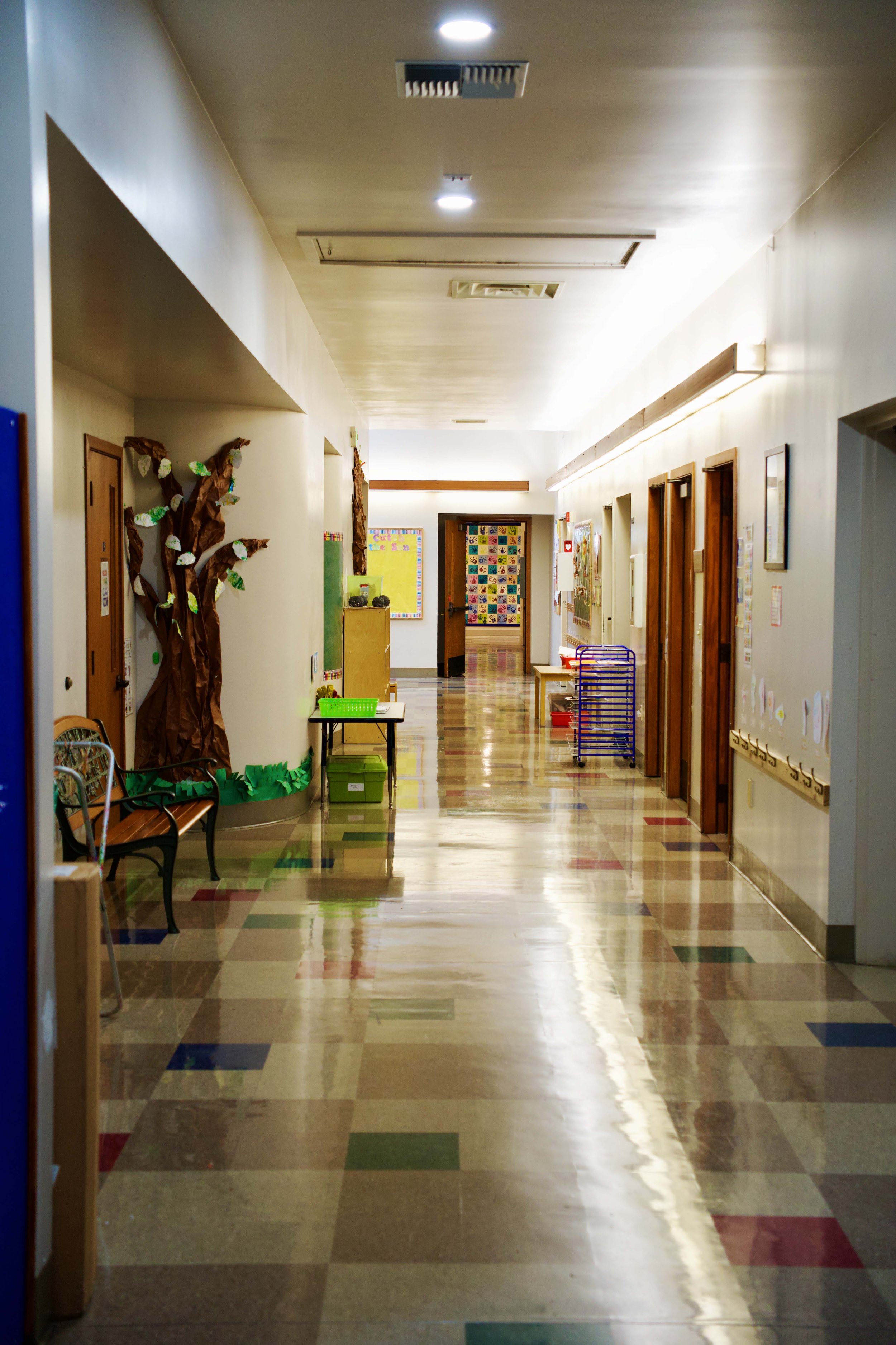 All floors are flat.  Hallways are wide and free of rugs