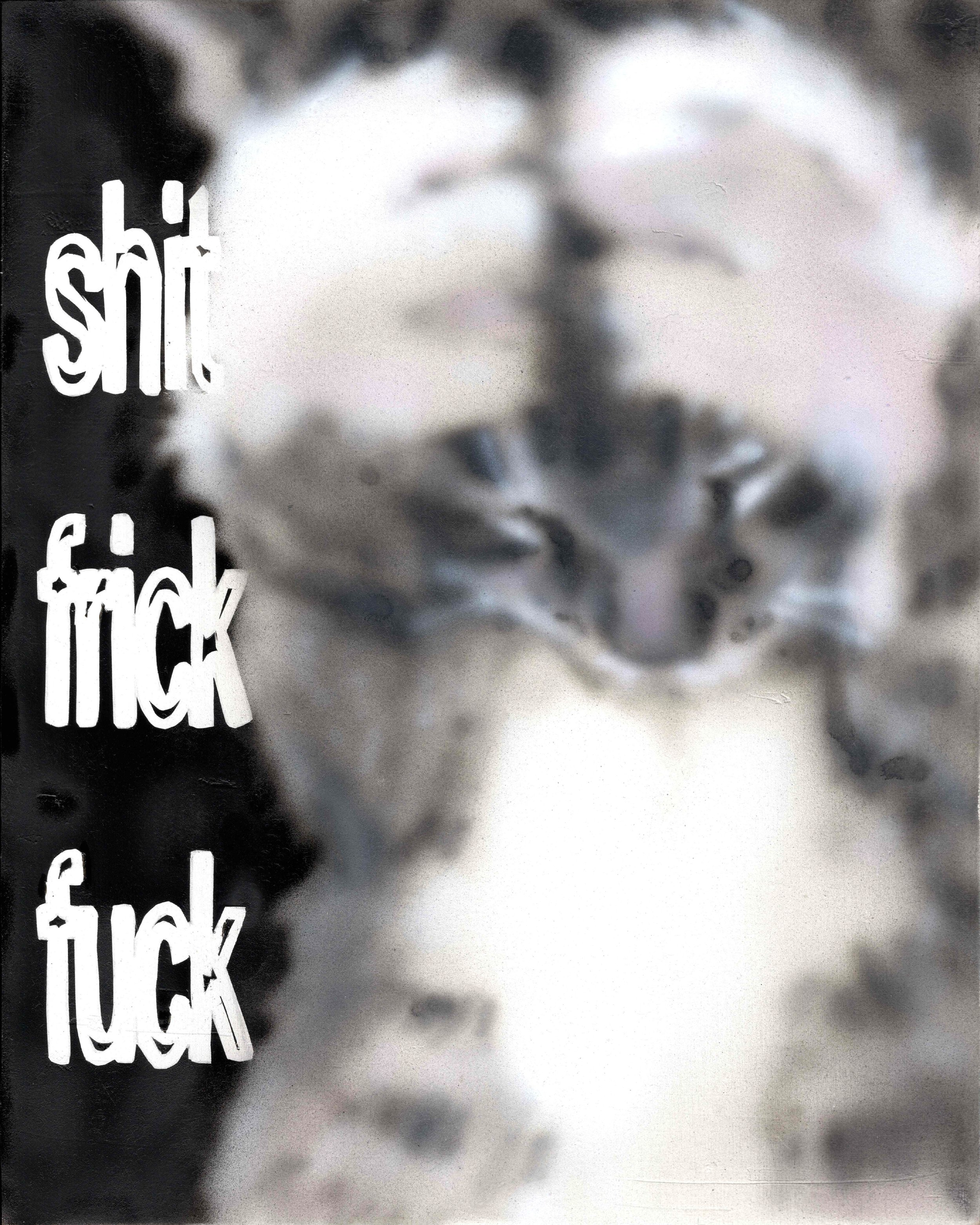 shit frick fuck - Digital File