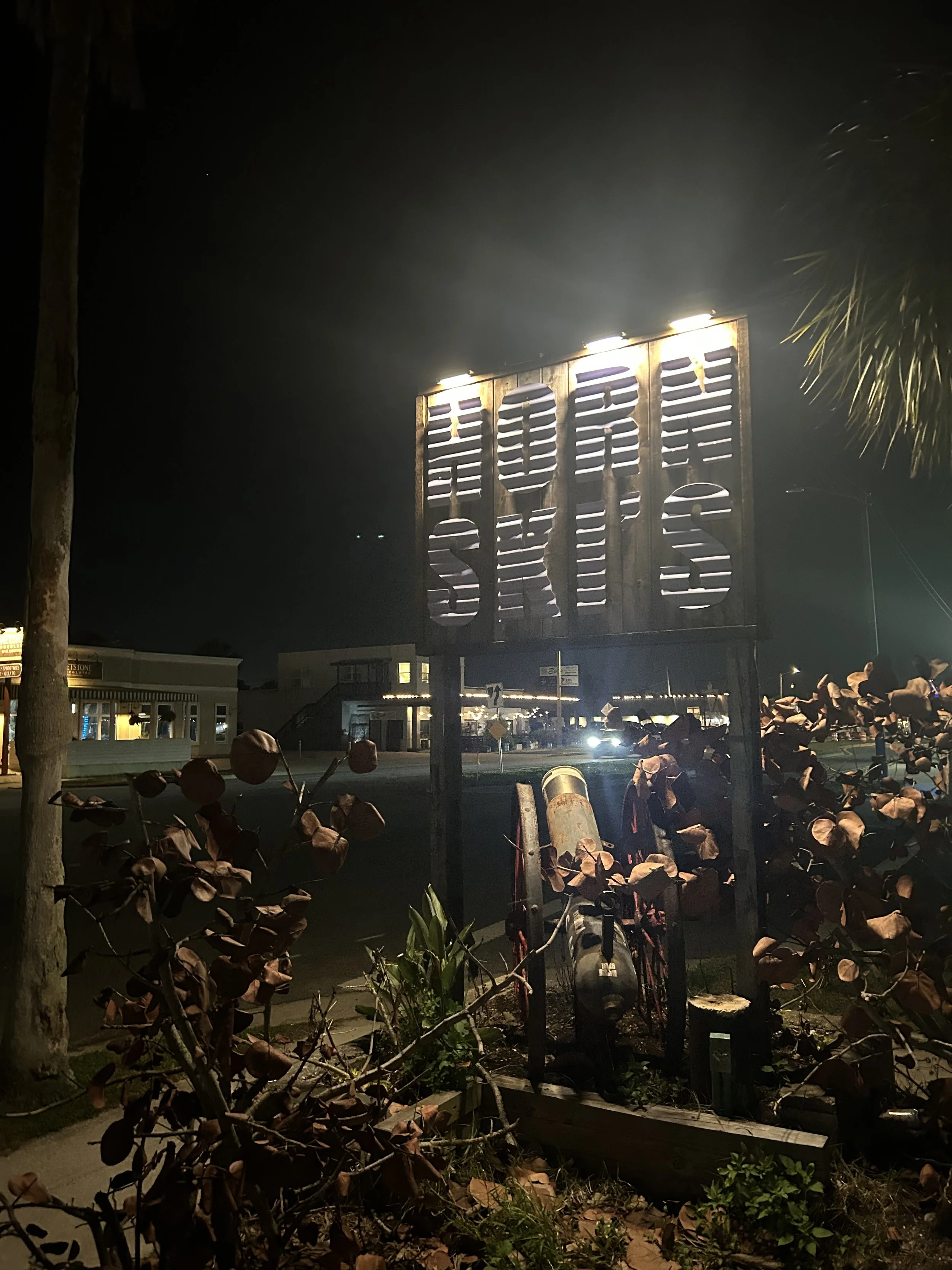 Hornskis | St. Augustine, FL