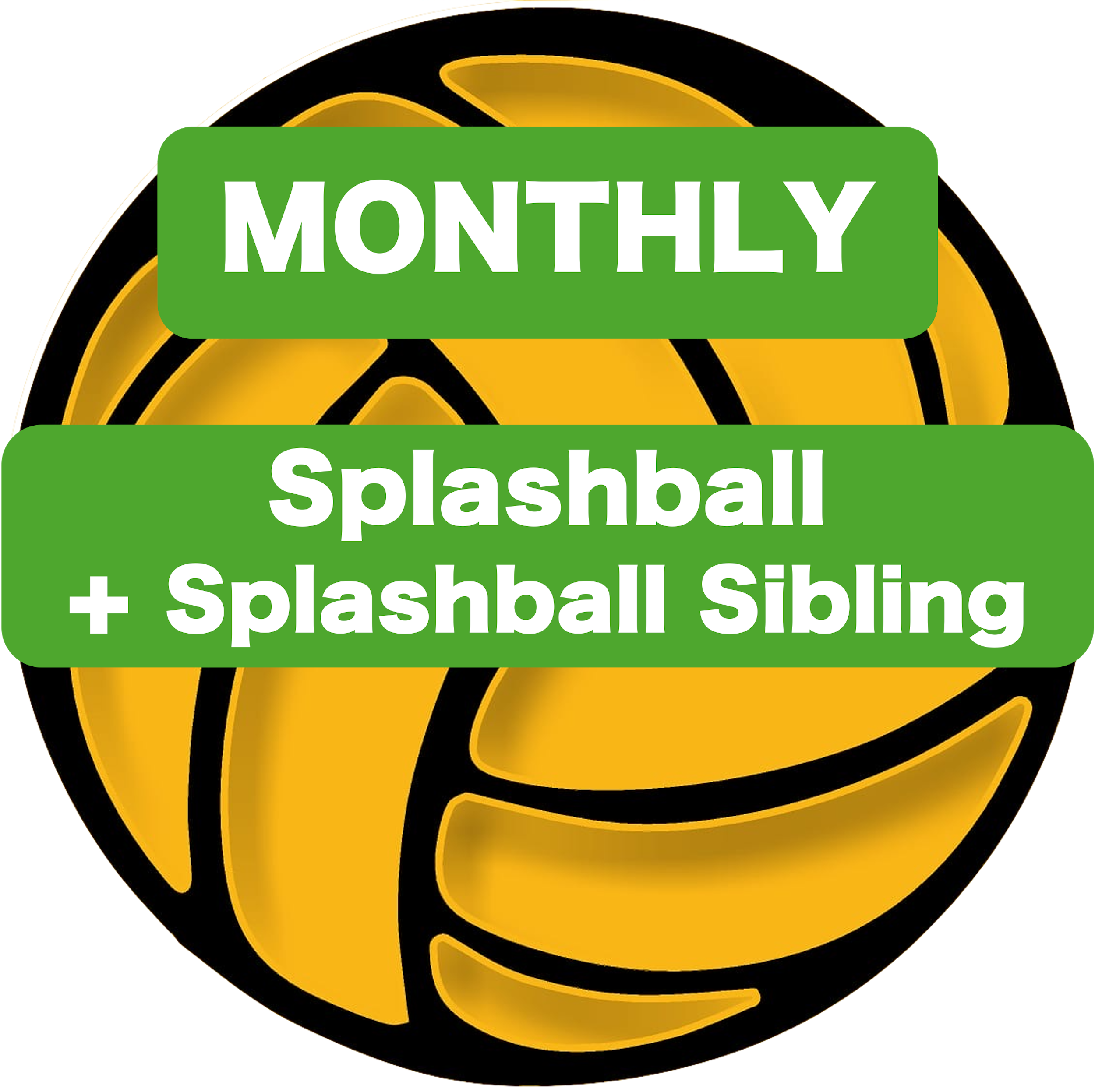 Sibling Discount: (2) Splashball Players