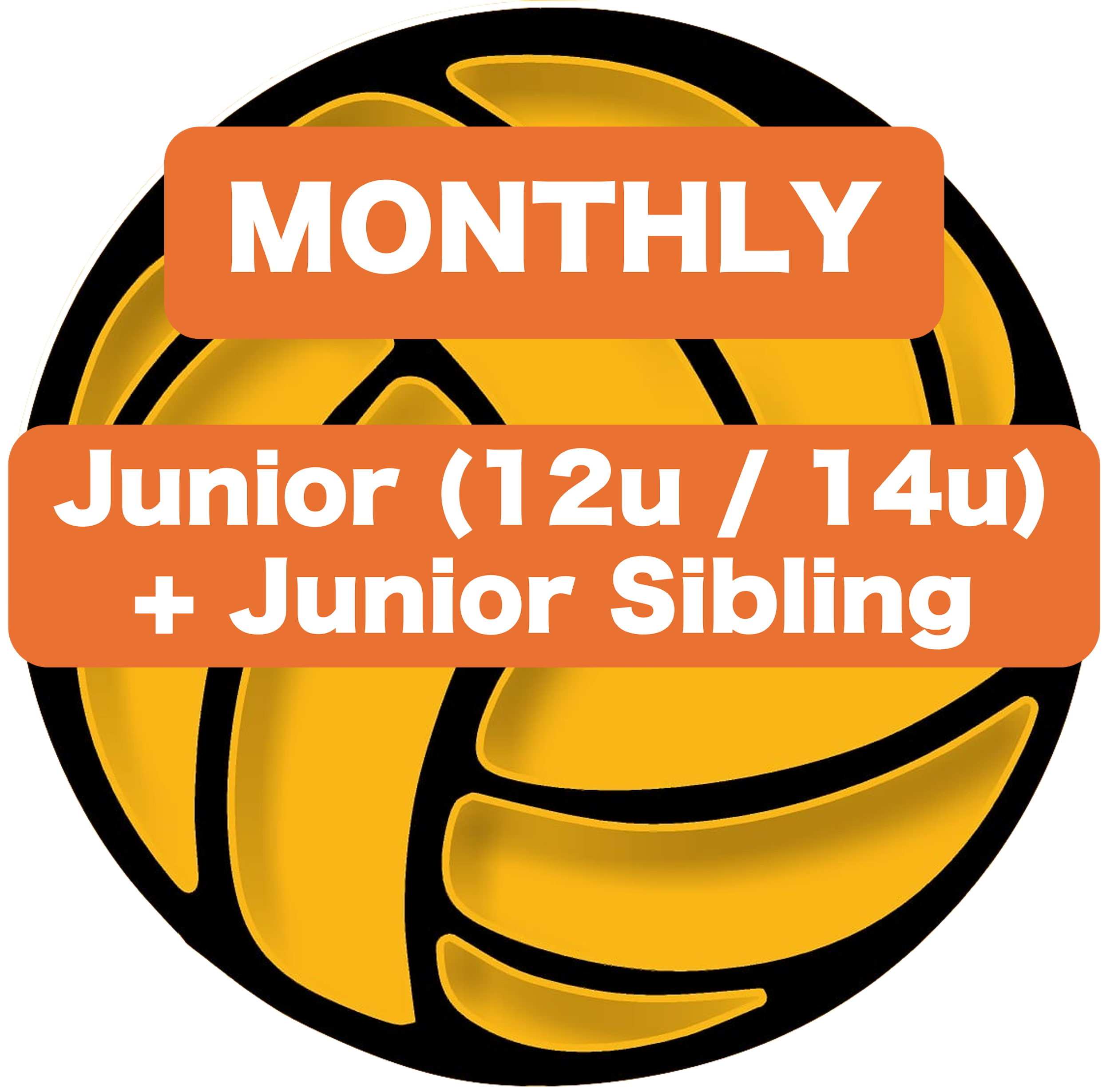 Sibling Discount: (2) Junior (12u/14u) Players