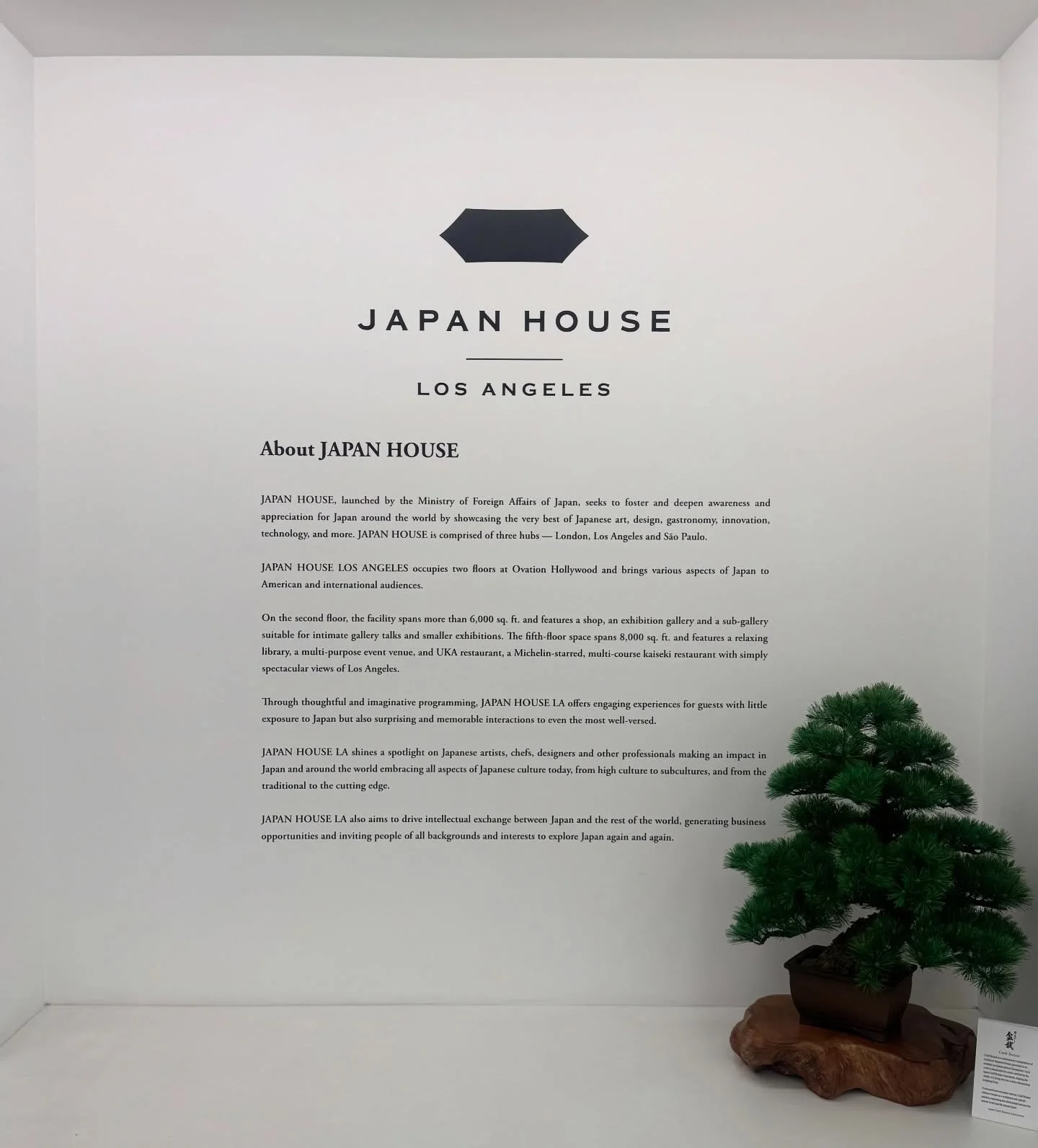 SakuraKoji Craft Bonsai showcased at Japan House Los Angeles.
Japan House is a cultural center created by the Japanese government to share Japanese art, design, craftsmanship, food, and innovation with the world.

Honored to have a SakuraKoji bonsai 