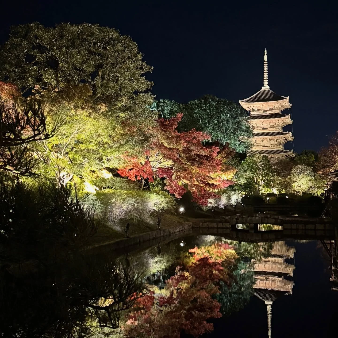 Walking through Tō-ji in Kyoto, I was reminded that bonsai is not just about the tree&mdash;it&rsquo;s about space, balance, and atmosphere. The stillness of the pagoda, the way nature and structure coexist, and the quiet intention behind every detai
