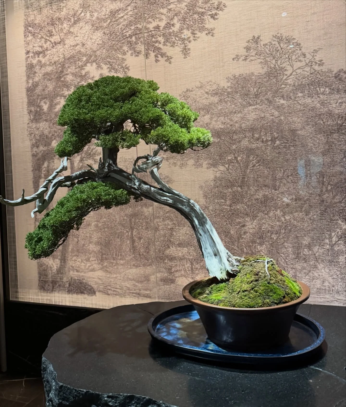 The rise of craft bonsai is visible all across Japan 🌿
From high-end hotels to department stores and refined restaurants, bonsai has become an indispensable element of modern Japanese interior design. Spaces like Aman Tokyo and Janu Tokyo embrace bo