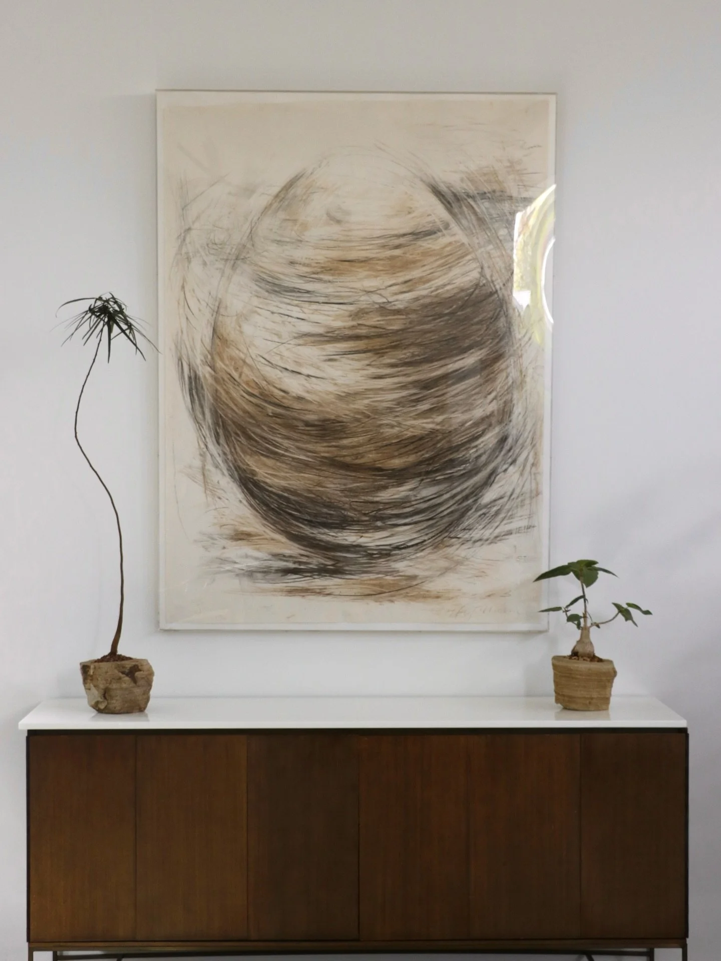 A quiet statement of nature within a modern interior.
Our interior plant styling brings harmony, softness, and organic movement into curated spaces.

#InteriorDesign #SakuraKoji #PlantAesthetic #plant #interiordesign