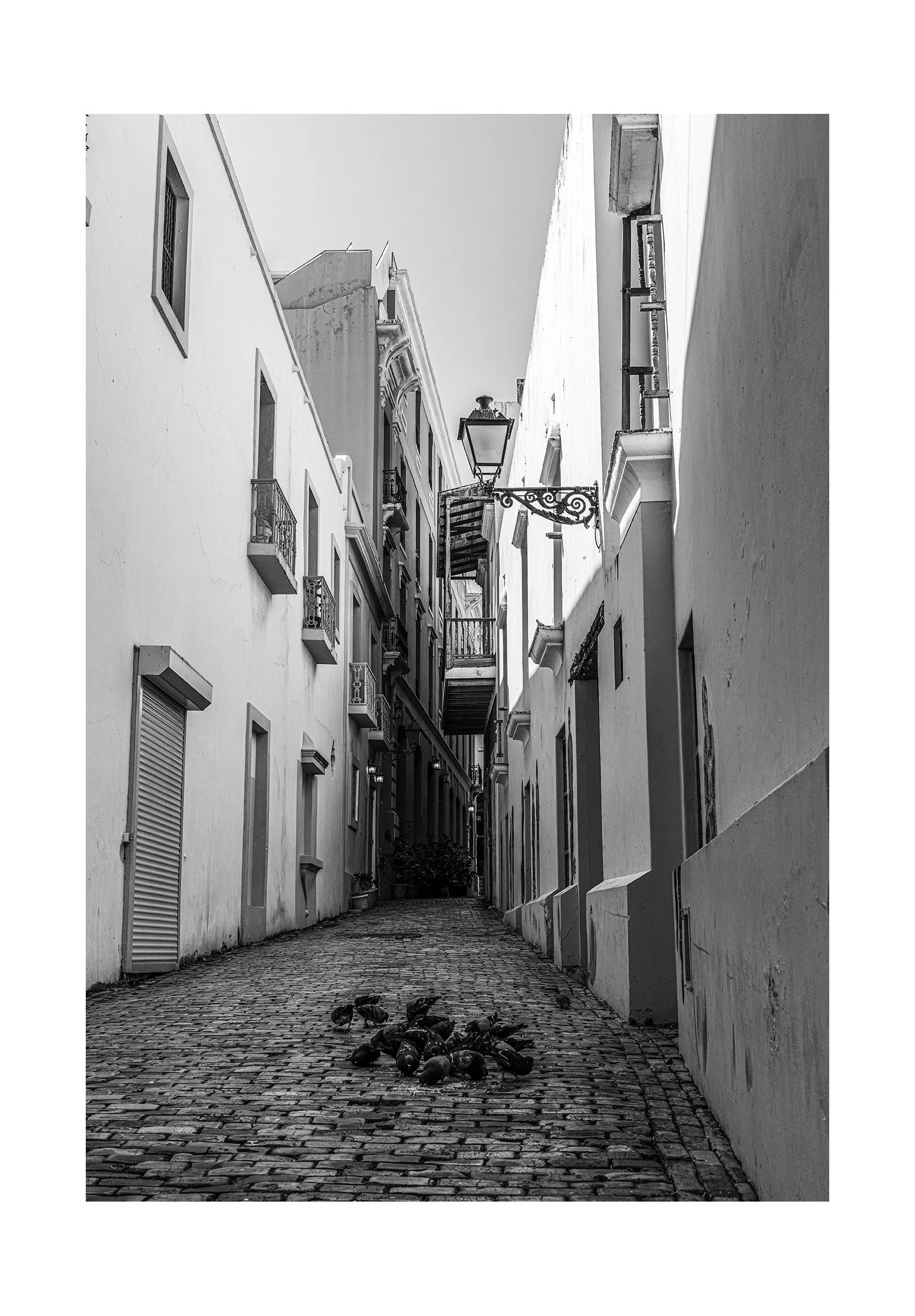 Pigeon Alley 1300x1900.jpg