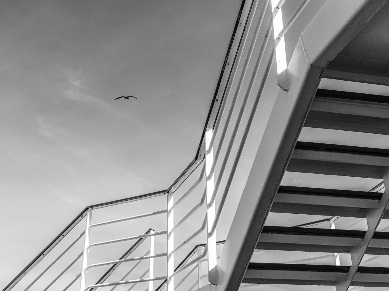 Elevation