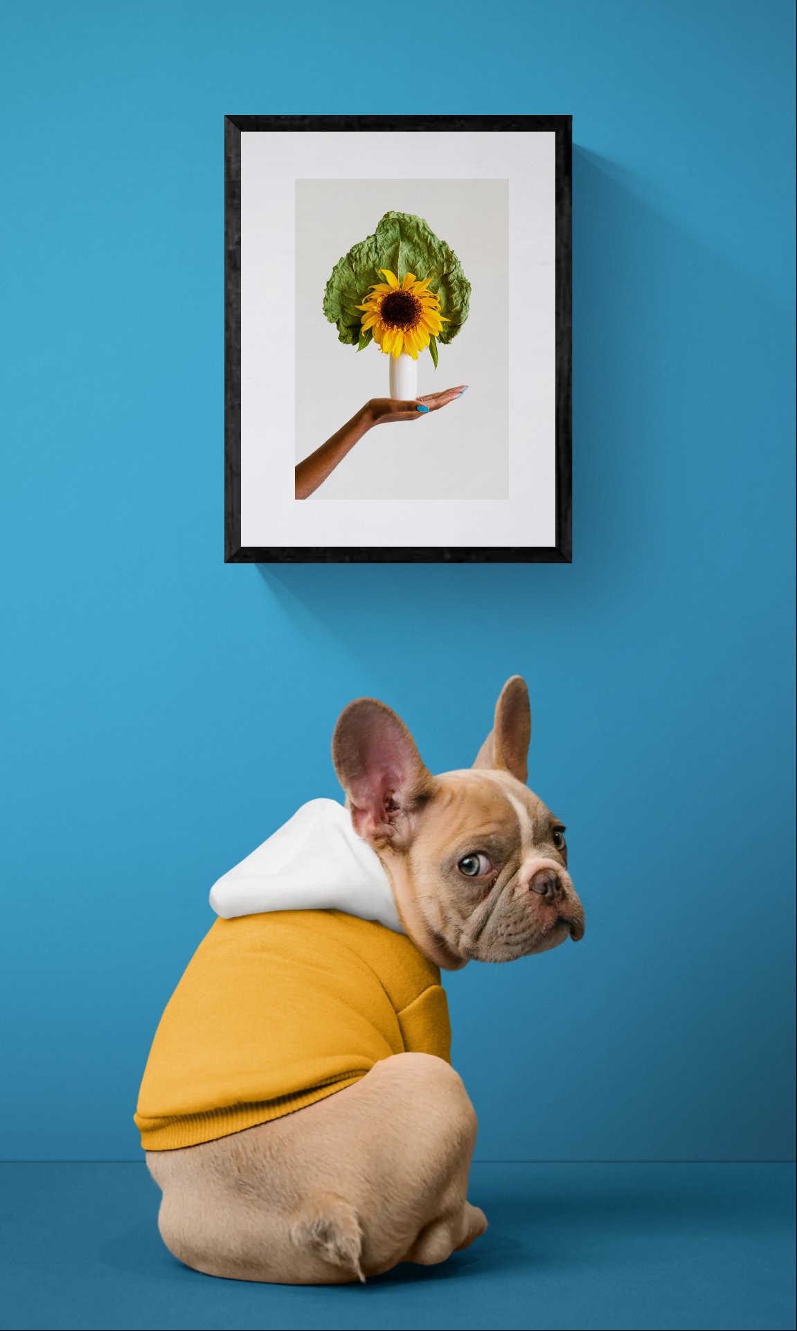 Cute dog wearing a hoodie 2026-08-24-20-50.jpeg