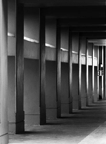 Xylophone (BW).jpg
