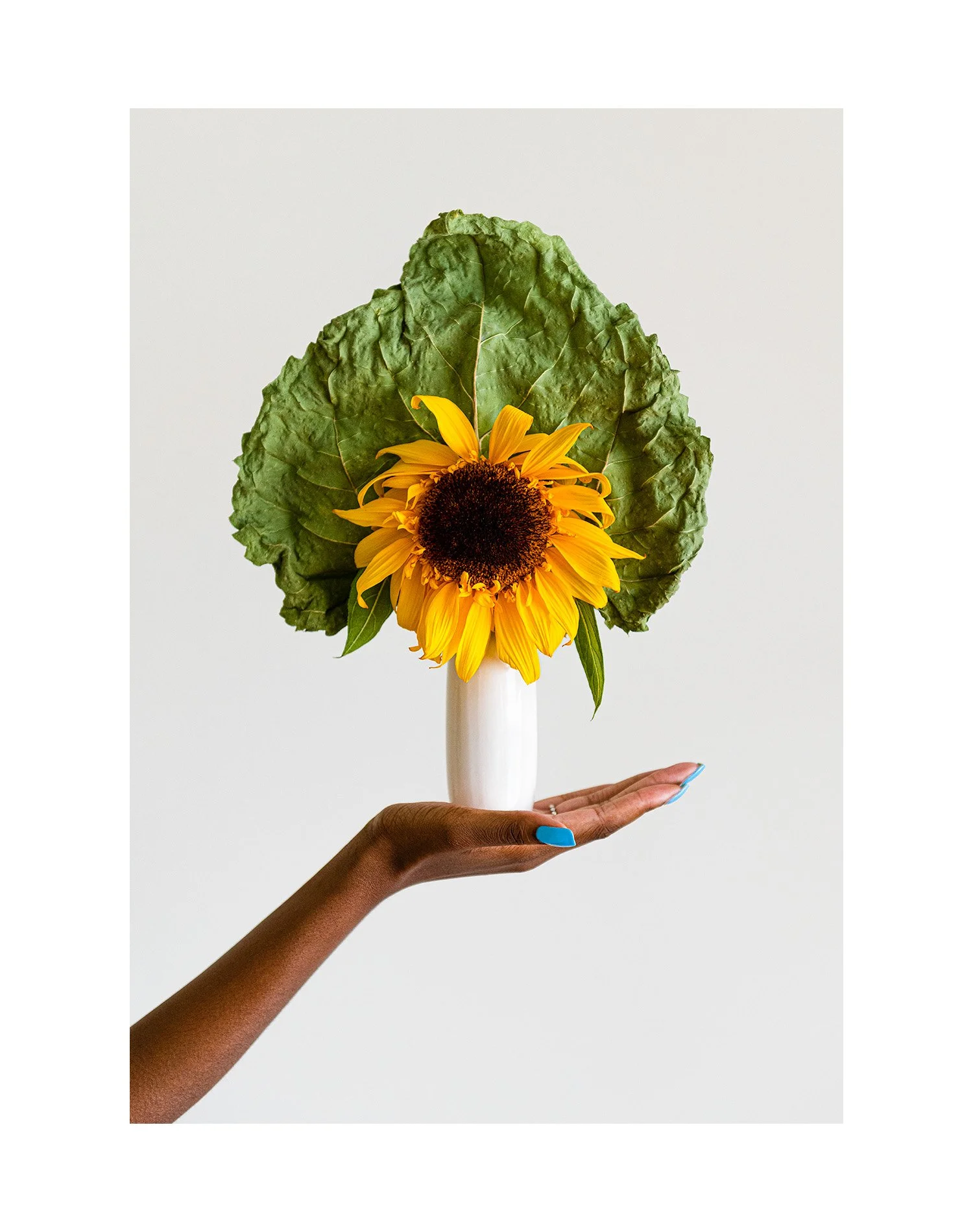 Hand and Sunflower 1100x1600.jpg