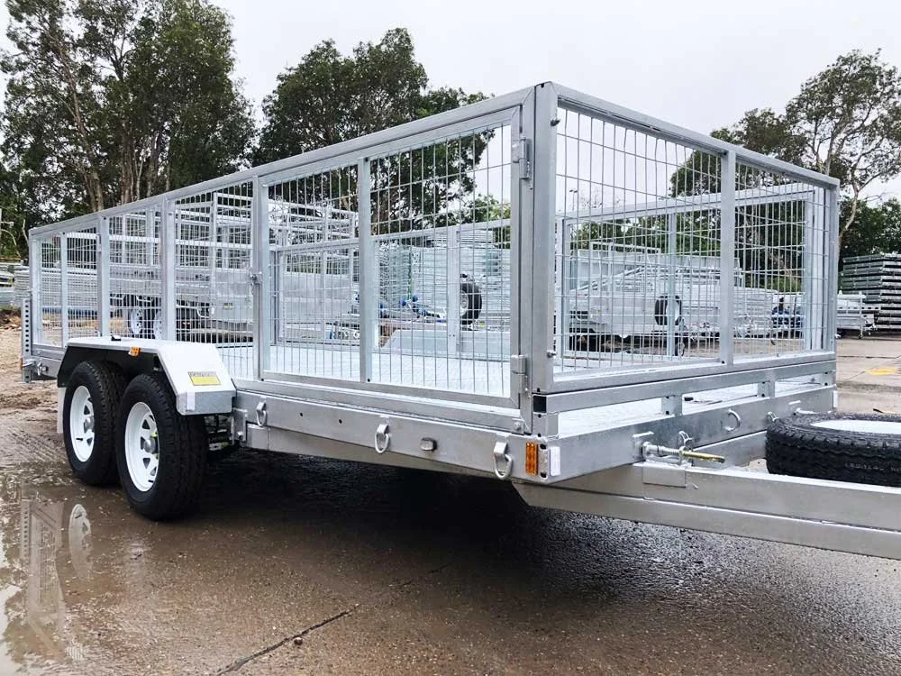 car-trailer-cage-11 - Renae Smart.jpg