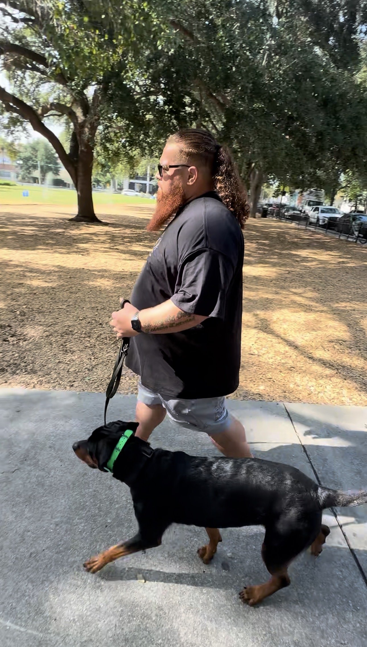 A man with a beard, glasses, and long hair walking a Rottweiler dog on a leash in a park with trees and parked cars in the background.