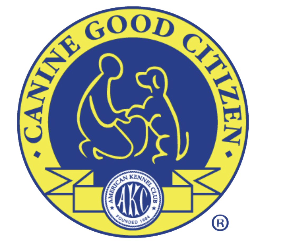 AKC Canine Good Citizen Evaluation