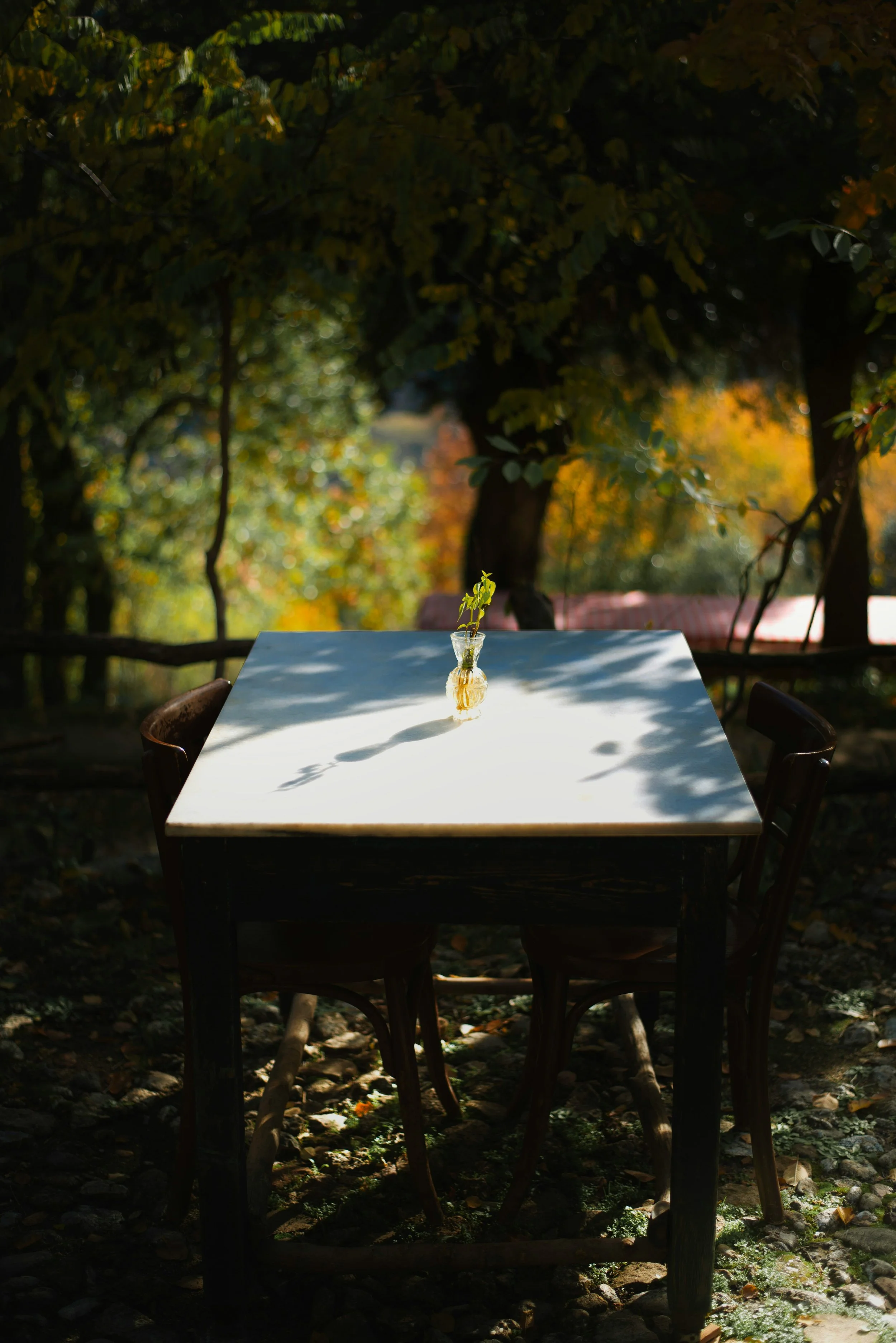 The Winter Table: Making Room for This Season