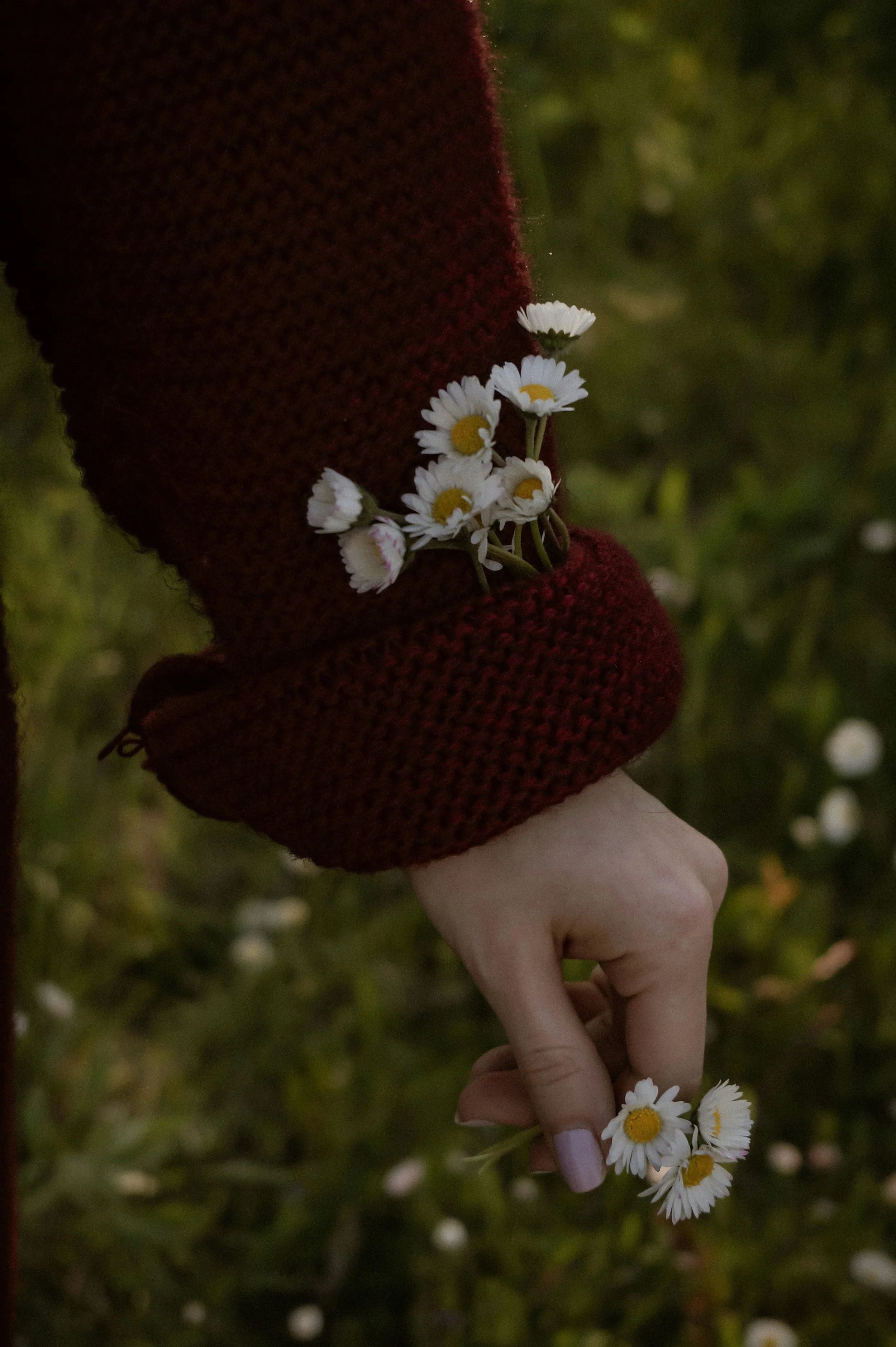 Gather & Pause: A Therapy Bundle for the Season’s Shift