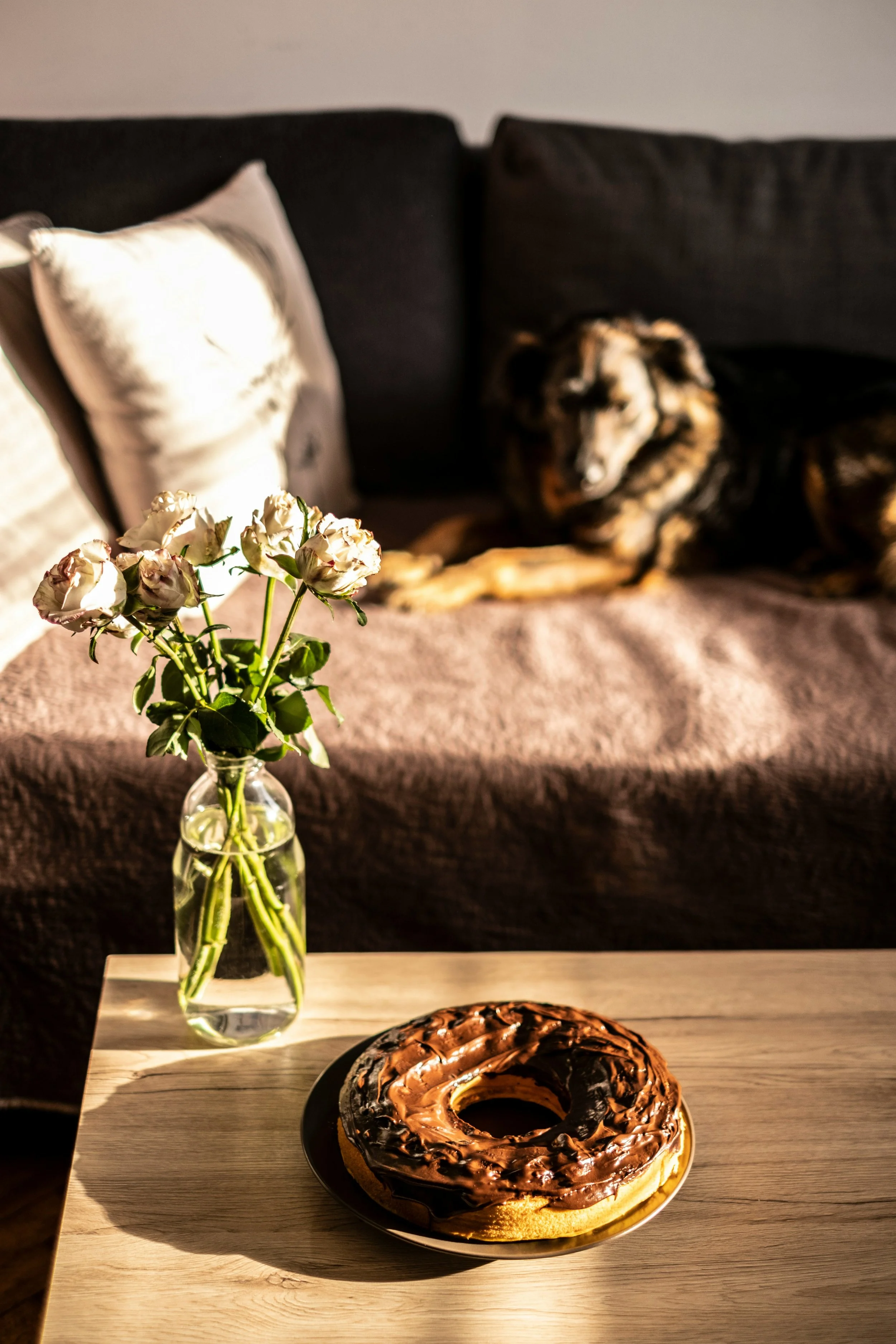 Across the Rainbow Bridge: Finding Peace After Pet Loss (Digital Download)