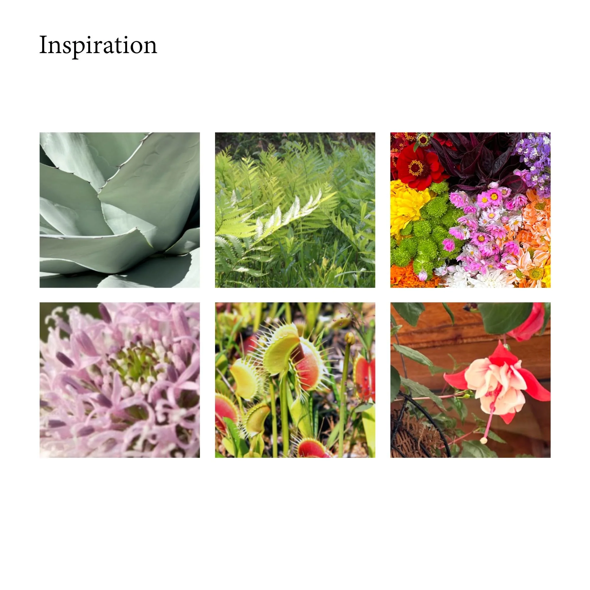 Golden Garden Inspiration