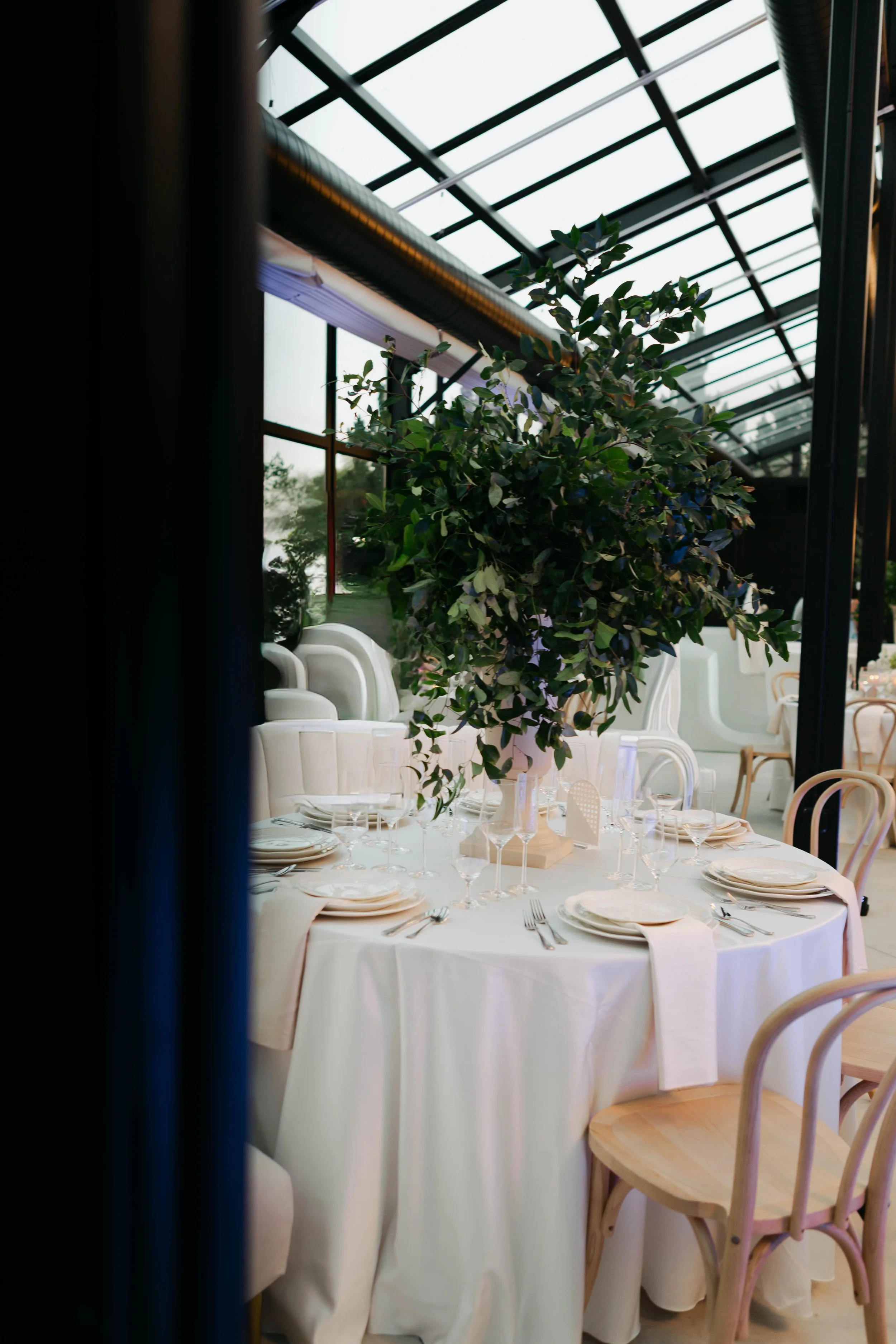 A round banquet table set with white tablecloth, plates, glassware, and silverware, featuring a large green plant centerpiece in a clear vase inside a glass-ceilinged venue.