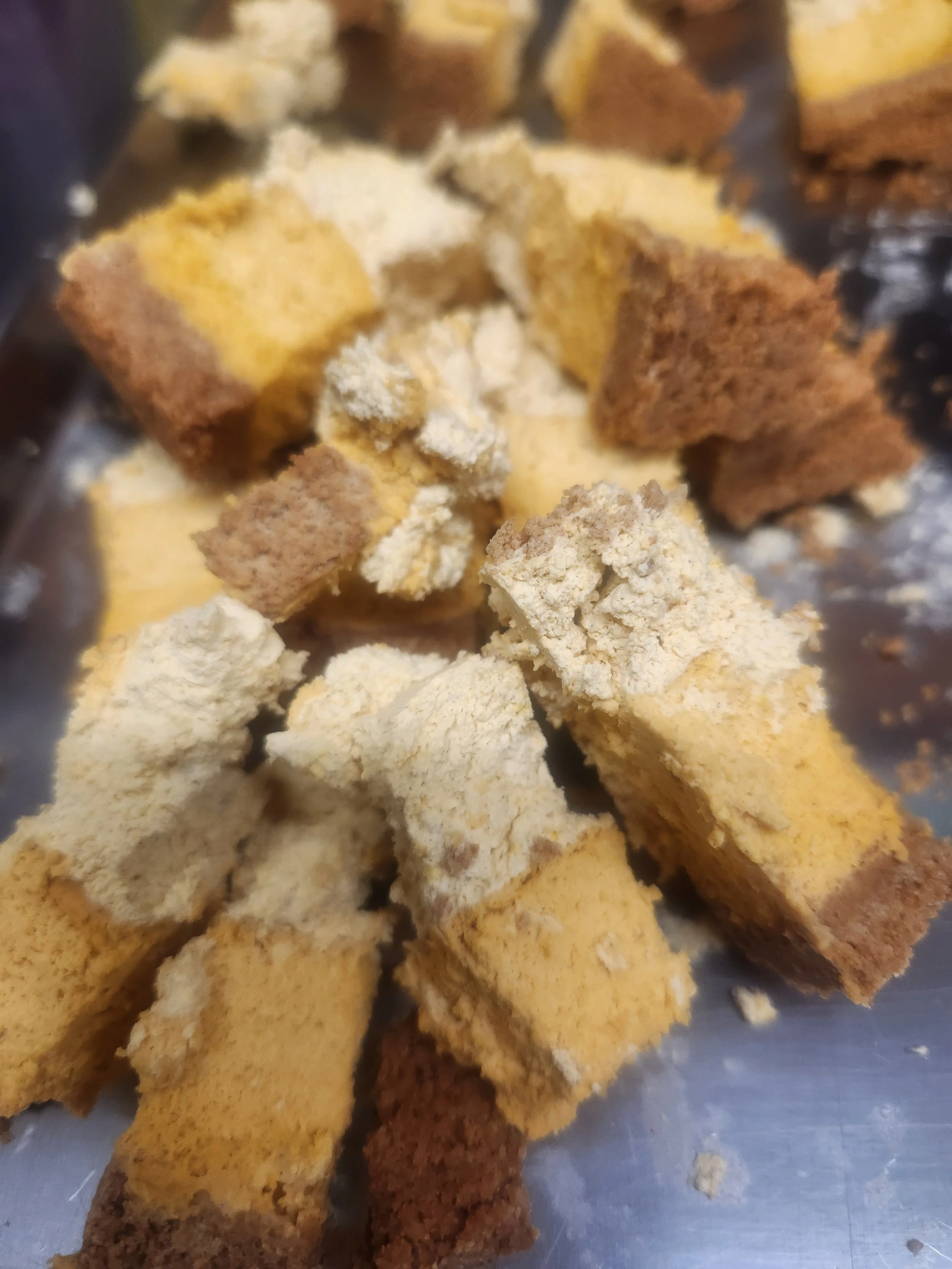 Pumpkin Cheesecake Bites (Freeze Dried)