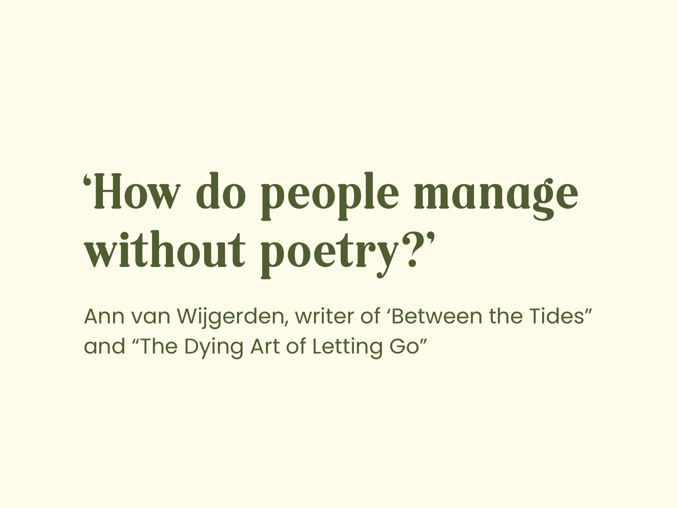 Q&A with Anne van Wijgerden