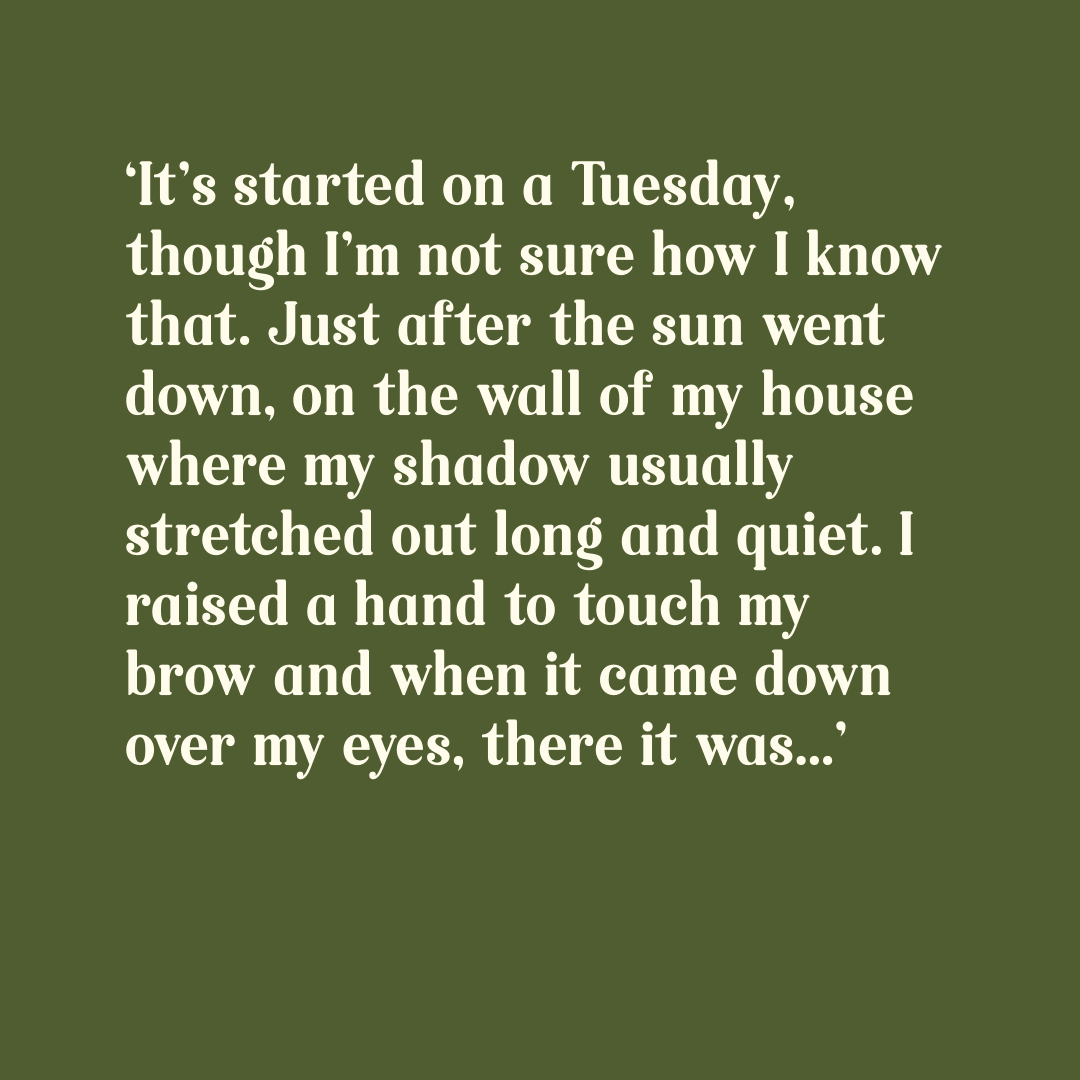 There’s a Hole in My Shadow