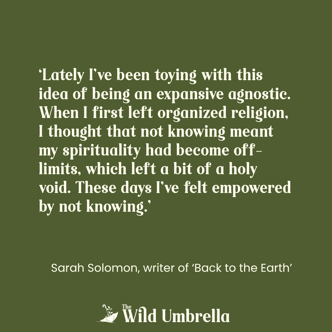 Q&amp;A with Sarah Solomon