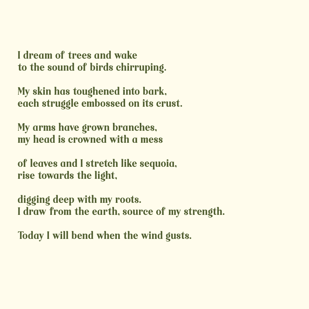 After Walking in the Forest