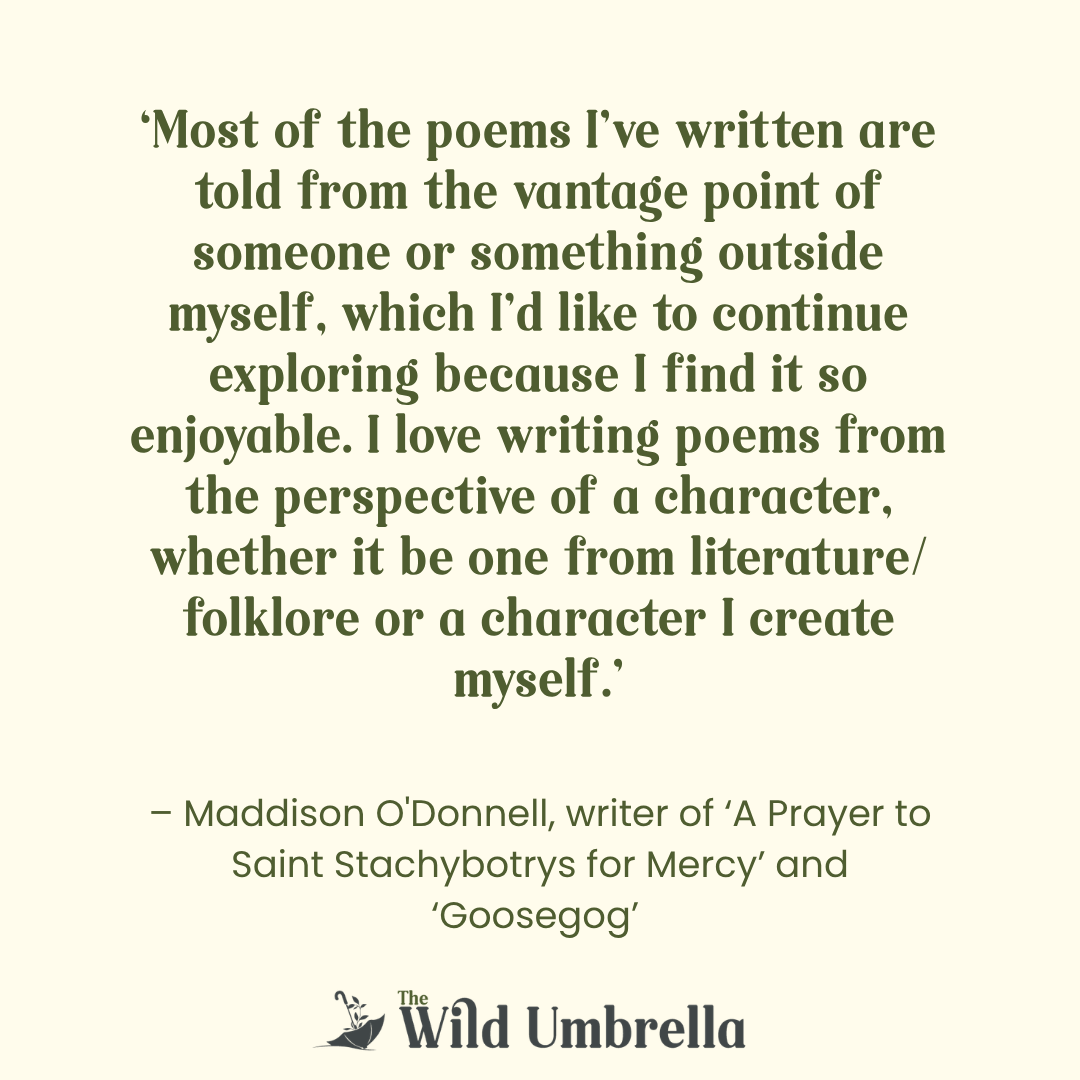 Q&amp;A with Maddison O’Donnell