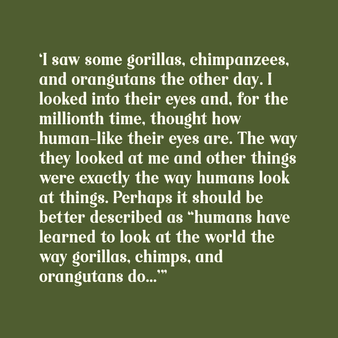 Gorillas and Other Primates
