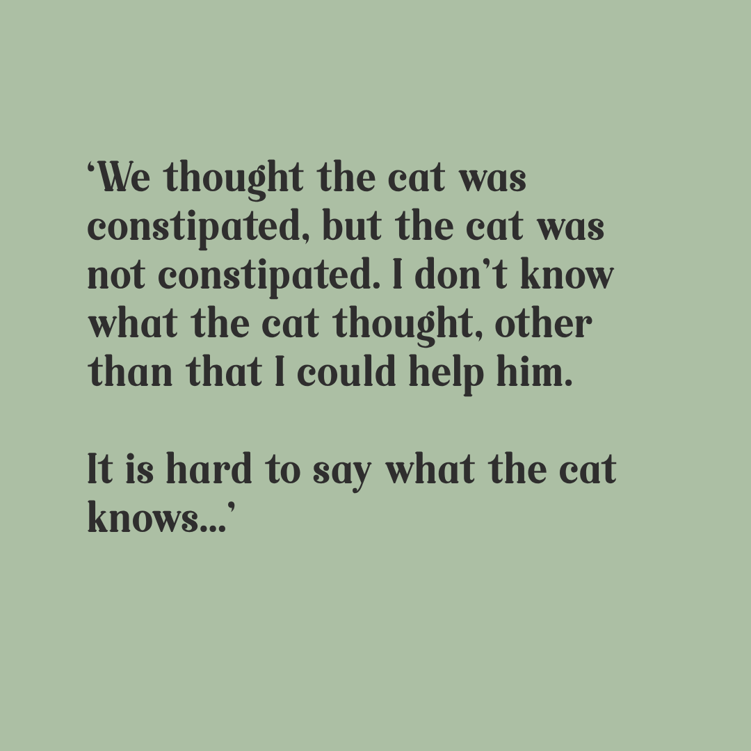 The Cat May Recover Yet