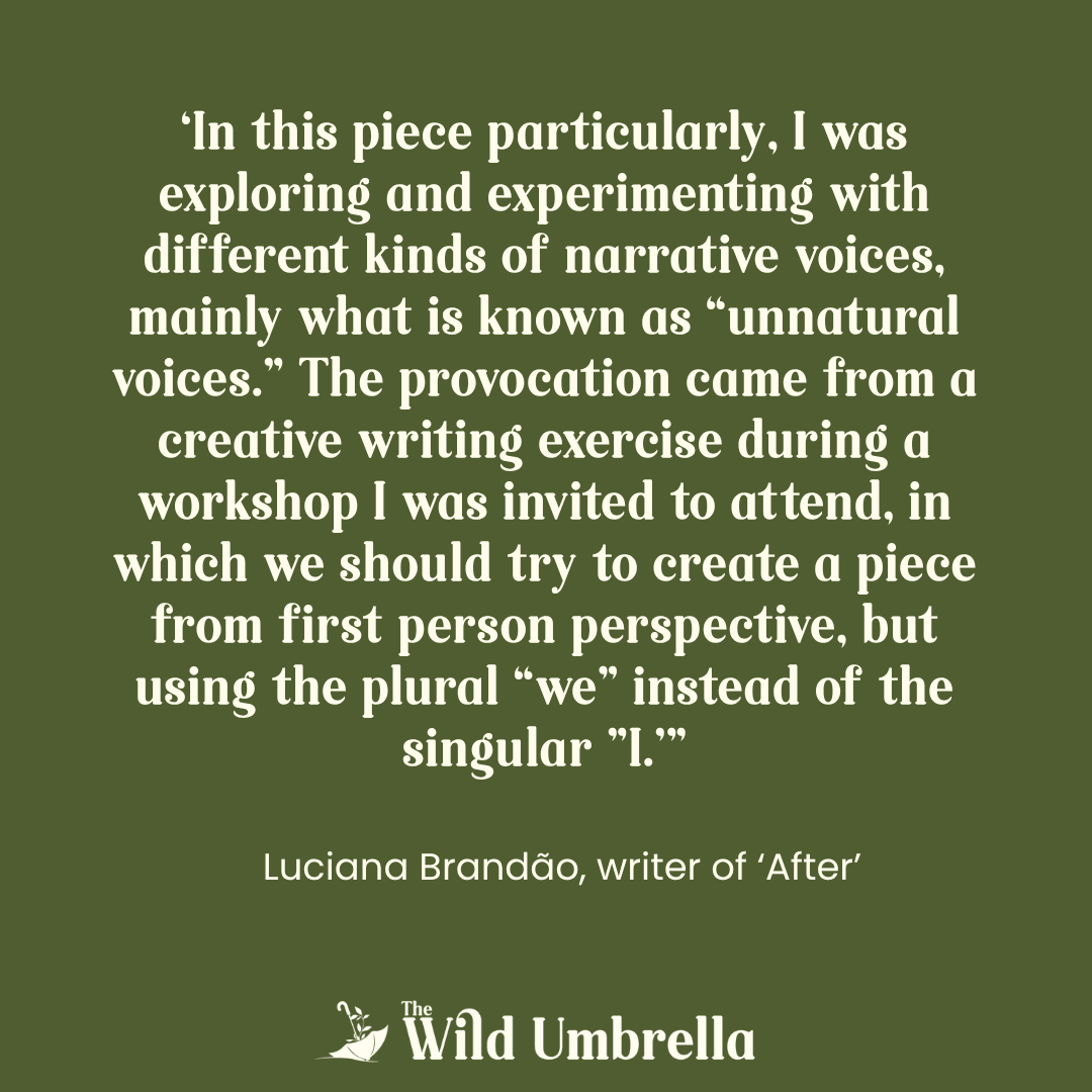 Q&amp;A with Luciana Brandão