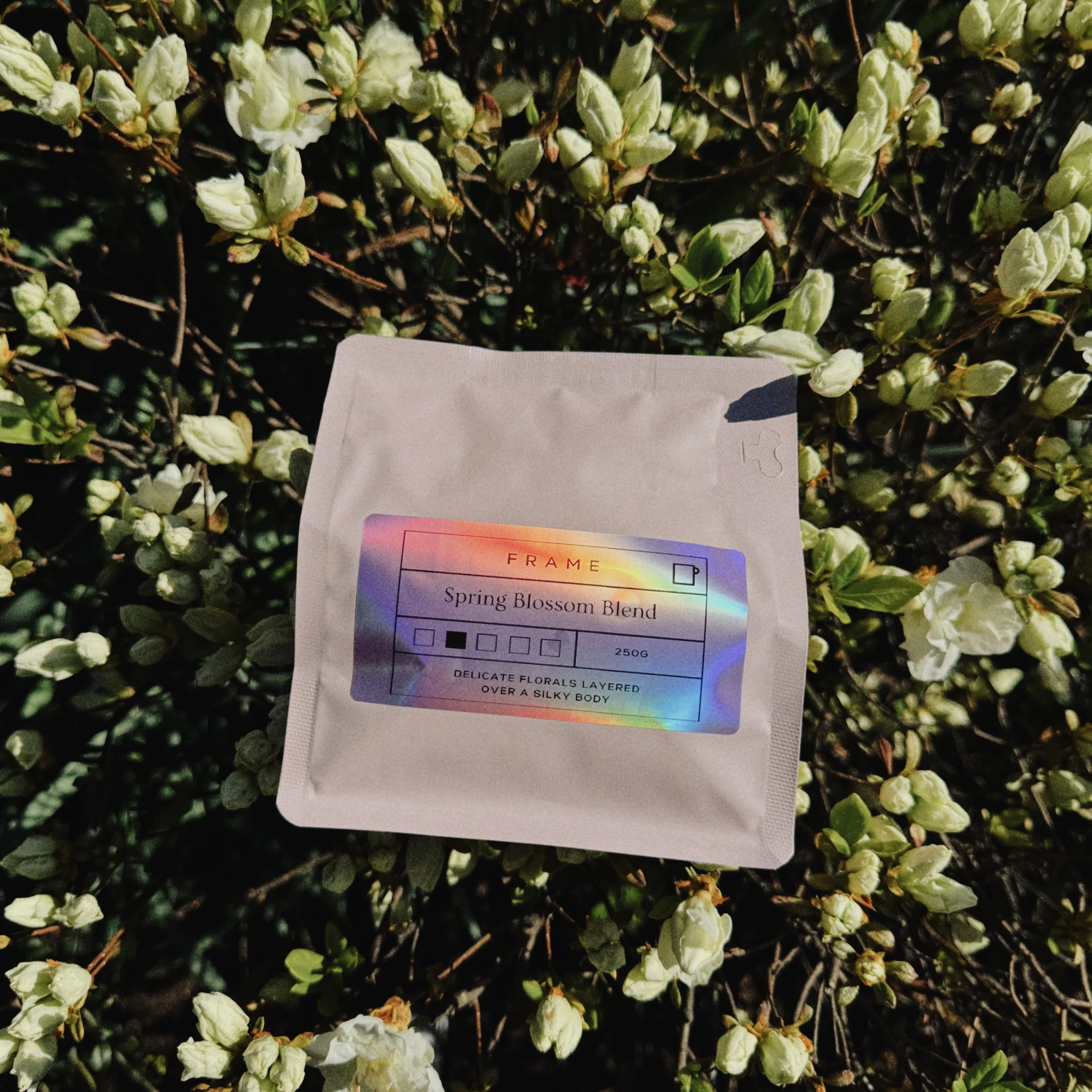 [Limited] Spring Blossom Blend