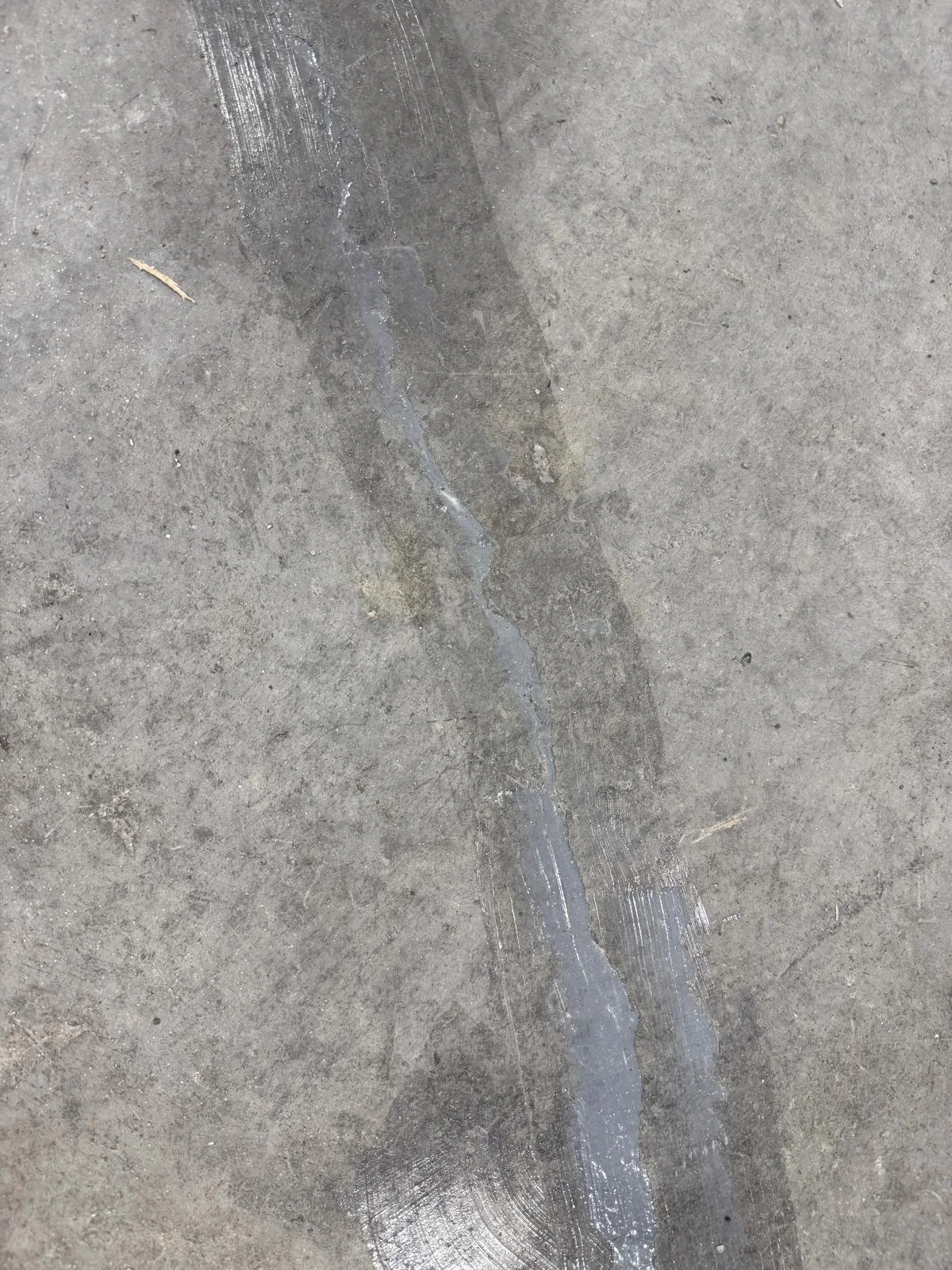 WhatsApp Imageg 2026-01-12 at 4.07.18 PM.jpeg (Copy)