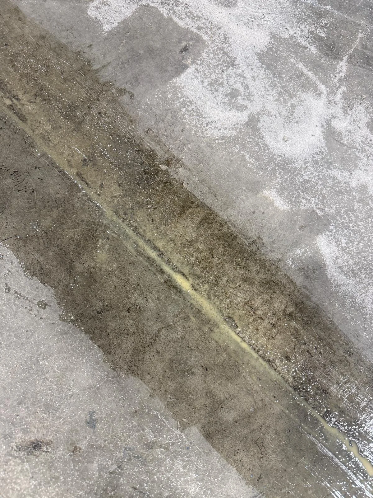 WhatsApp Image 2026-01-f12 at 4.07.18 PM.jpeg (Copy)