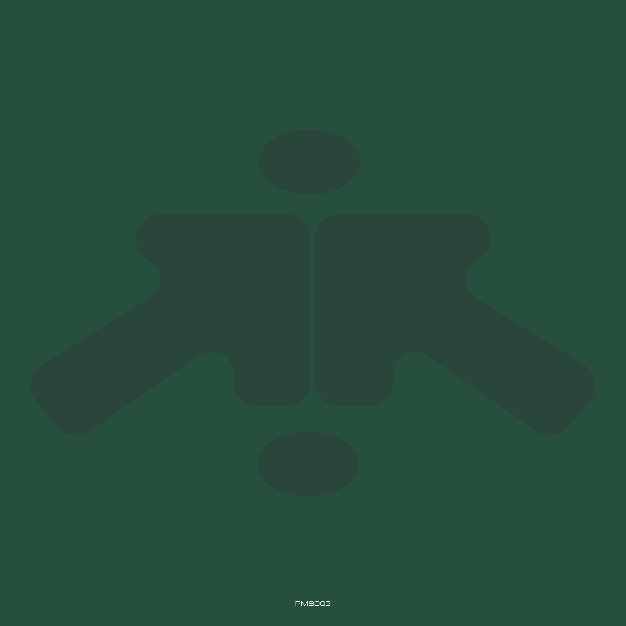 bullet tooth - Flava / Only You [RMS002]