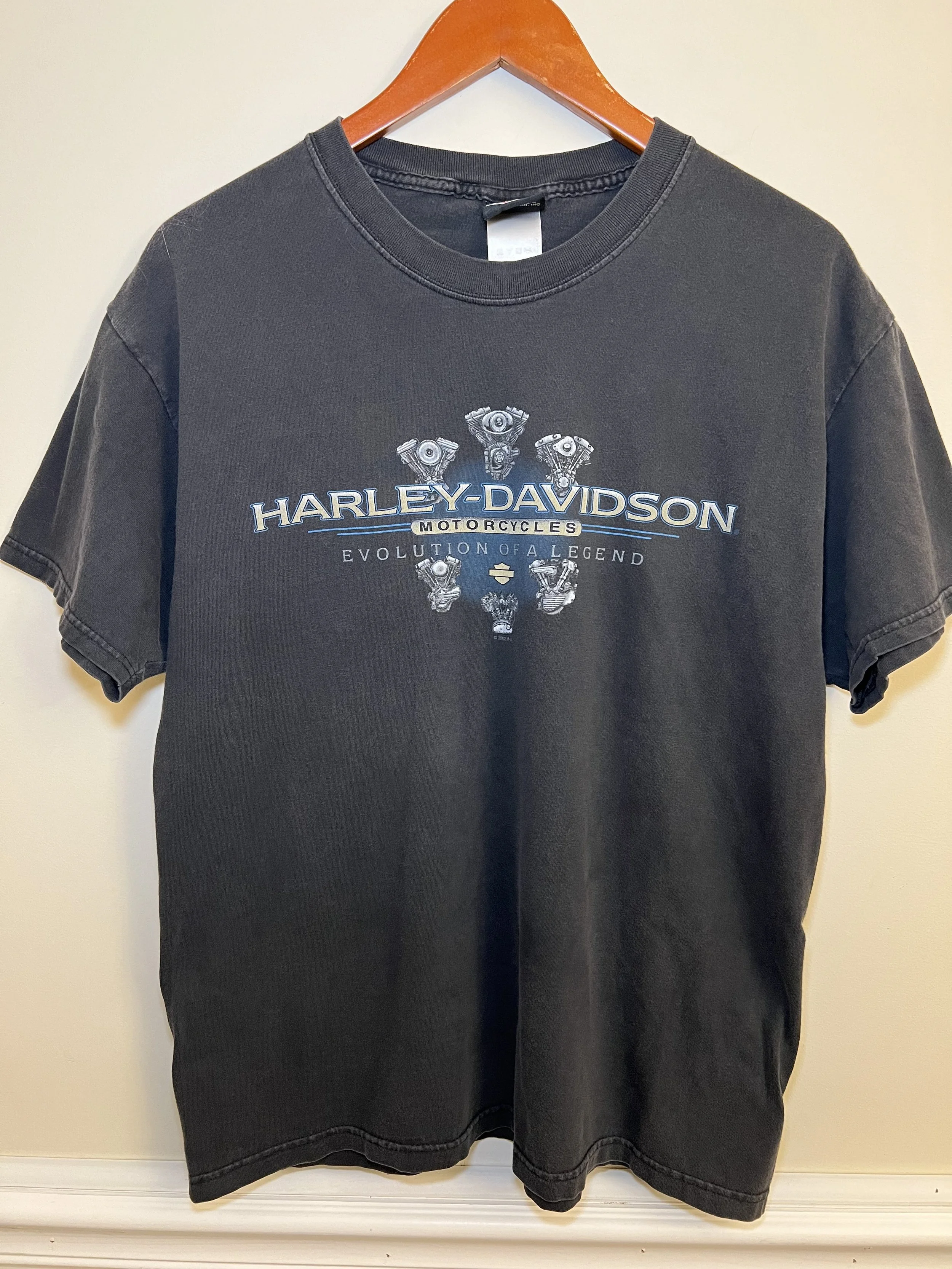 Vintage 2002 Harley Davidson T Shirt Evolution of a Legend Engine Graphic Grand Canyon Arizona Back Hit