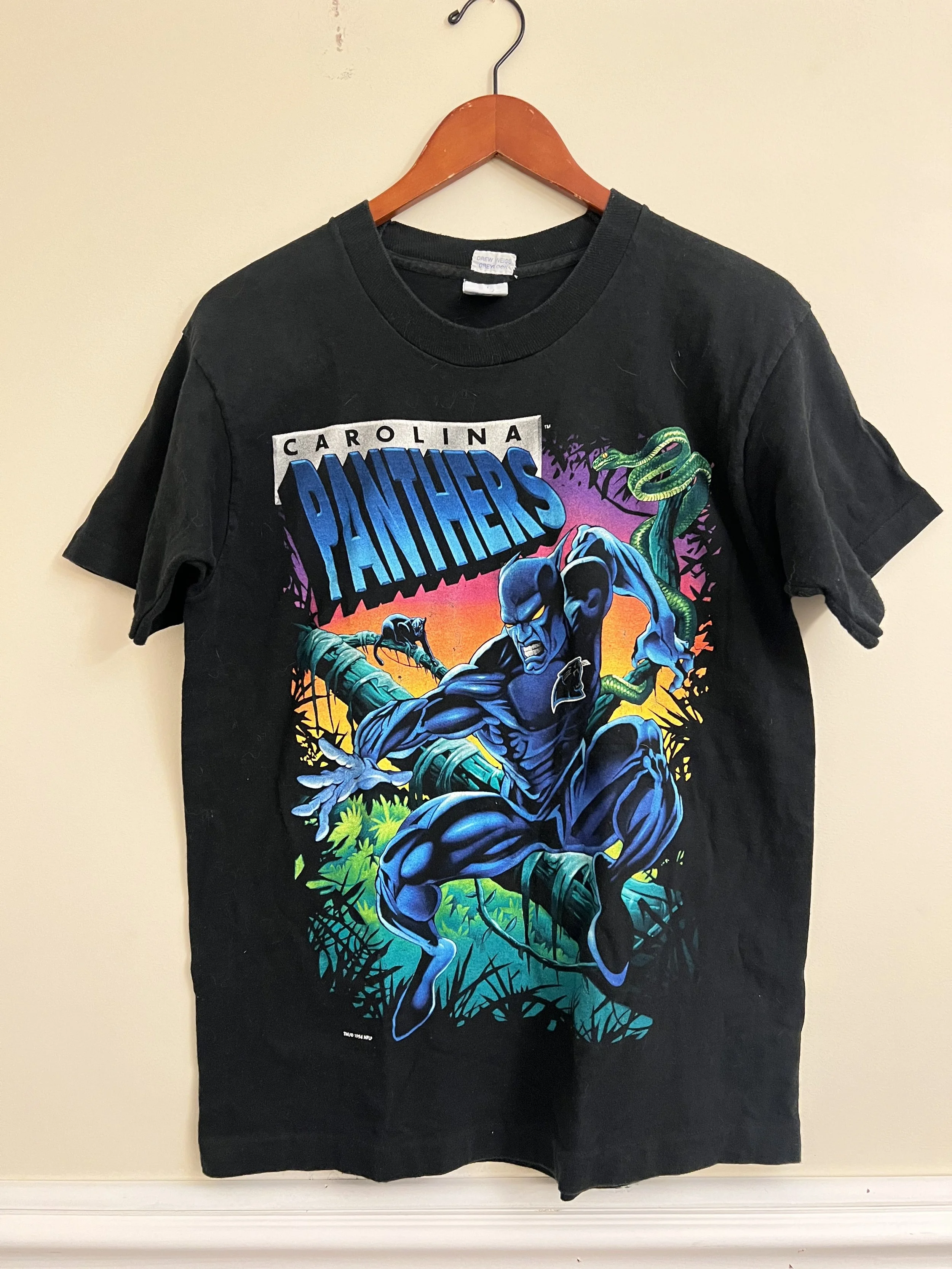 GRAIL rare single stitch 1994 Carolina Panthers Salem Sportswear Graphic