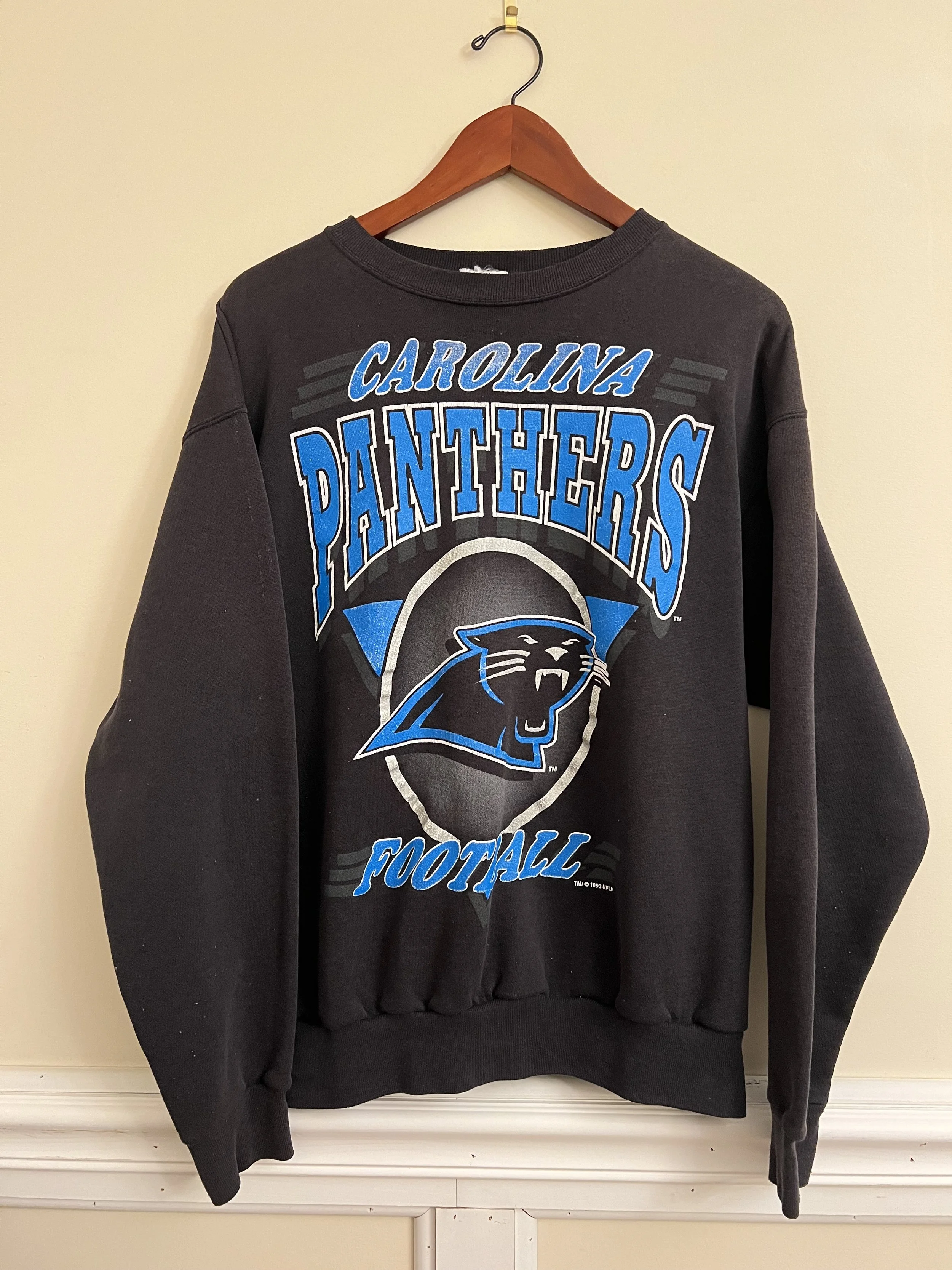 Vintage 1993 Carolina Panthers Crewneck