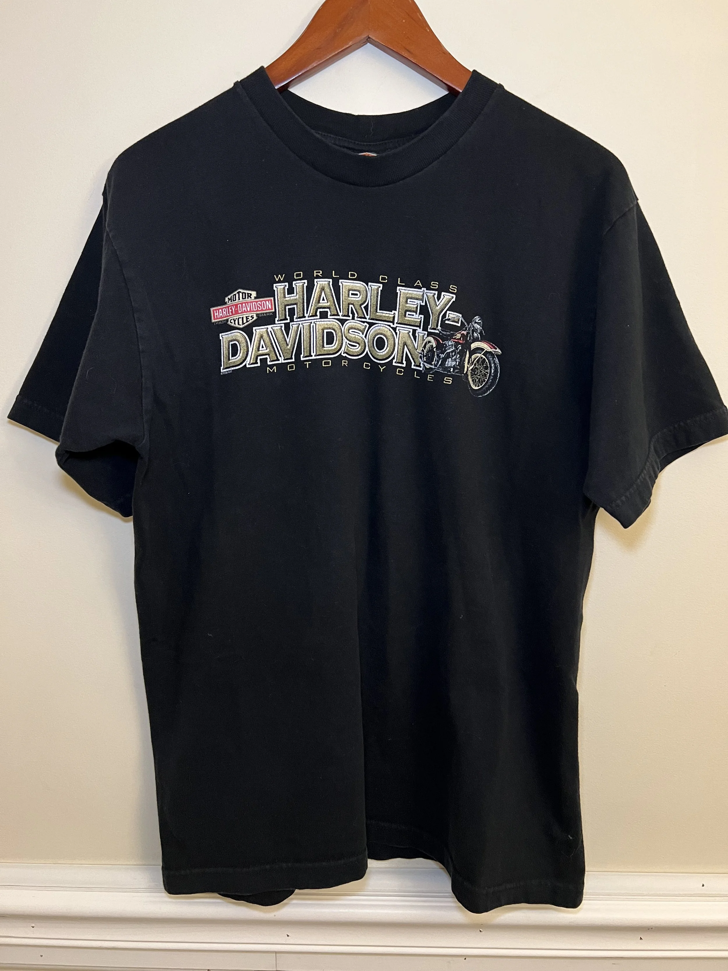 Vintage Harley Davidson T Shirt Zion Utah Scenic Back Hit Washington Utah Desert Graphic Early 2000s