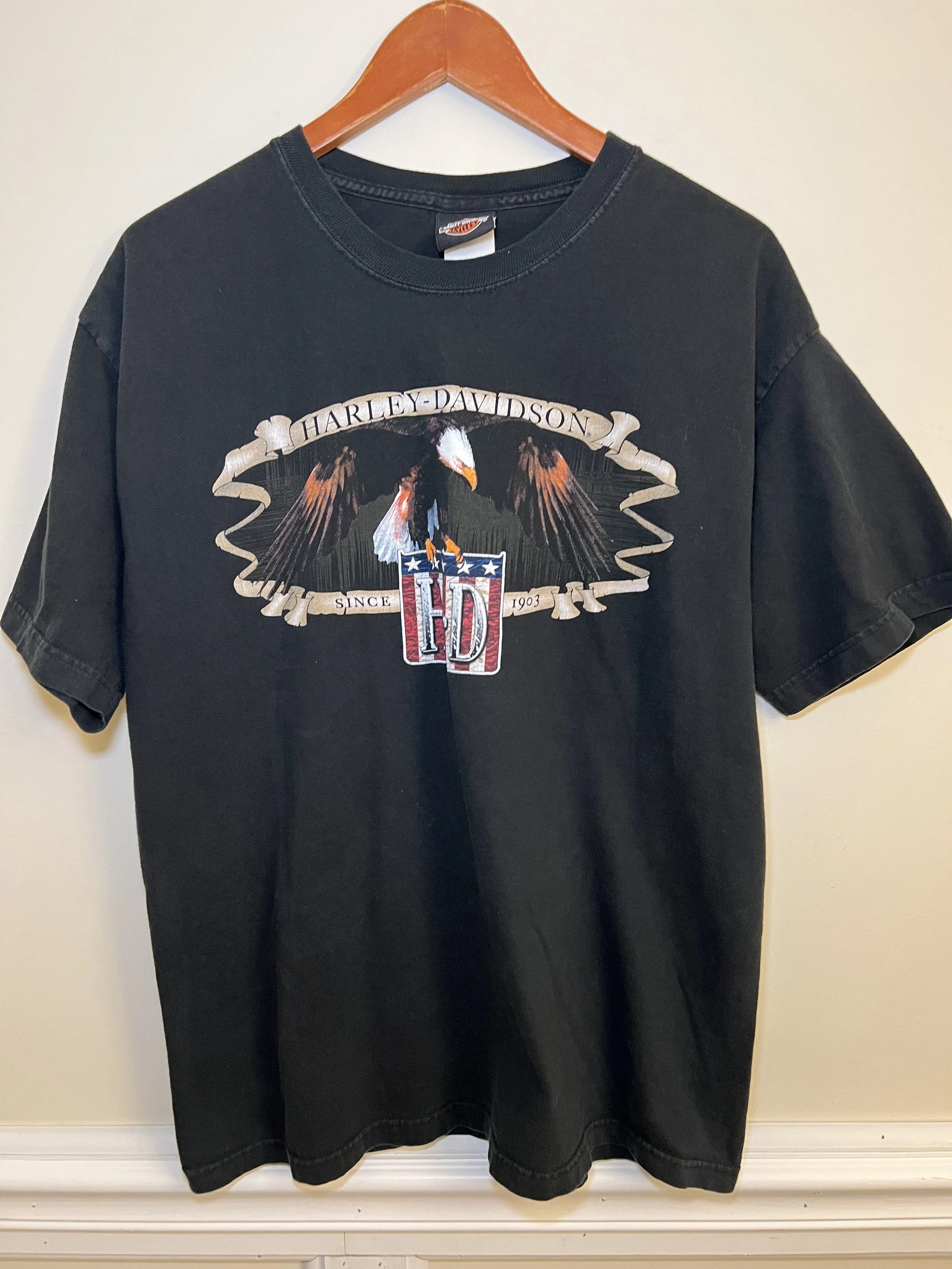 Vintage Harley Davidson T Shirt 1999 Back Hit Seaford Delaware Biker Tee 2000s Front Fade
