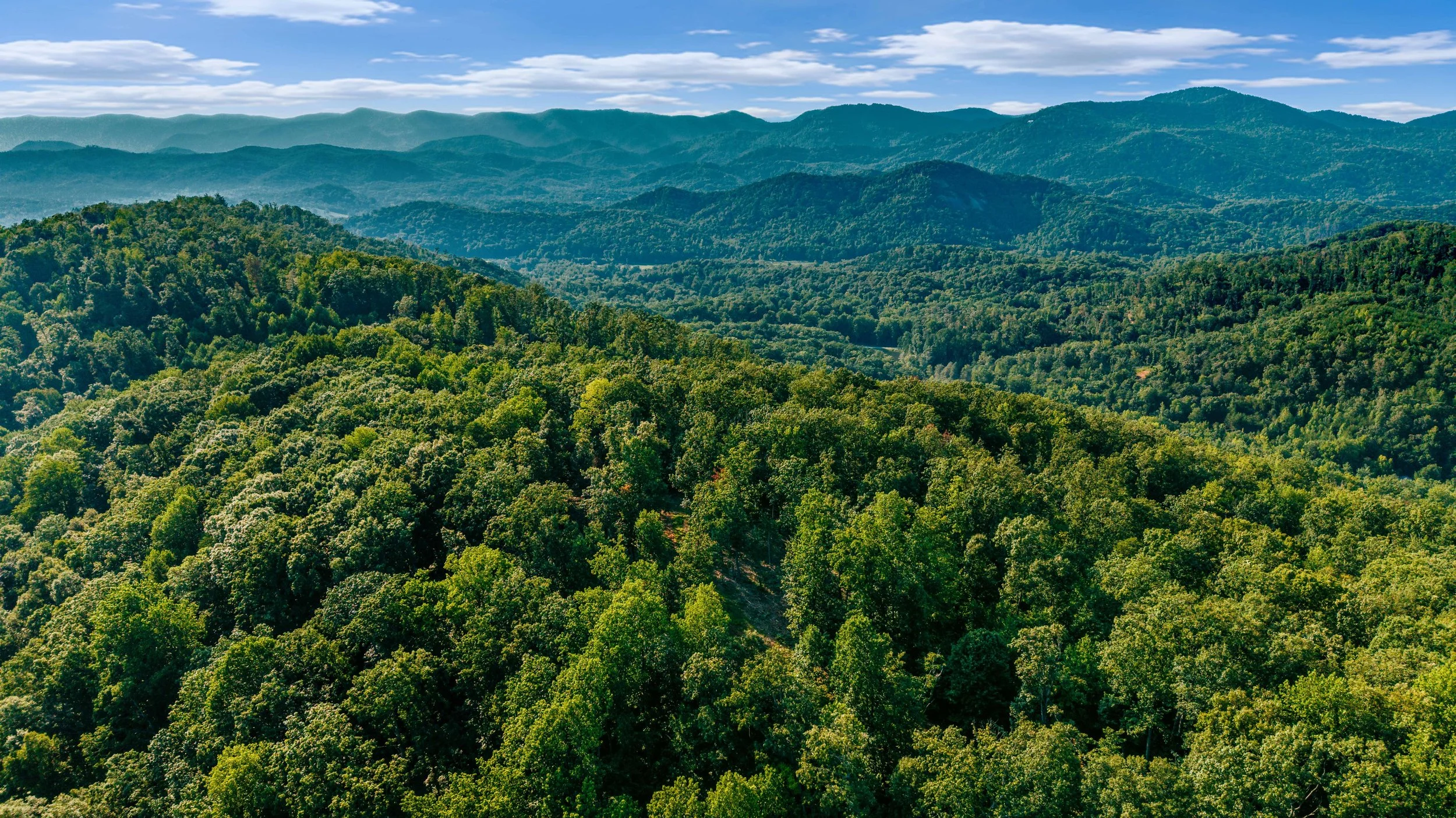 DJI_20260812181233_0654_D-.jpg